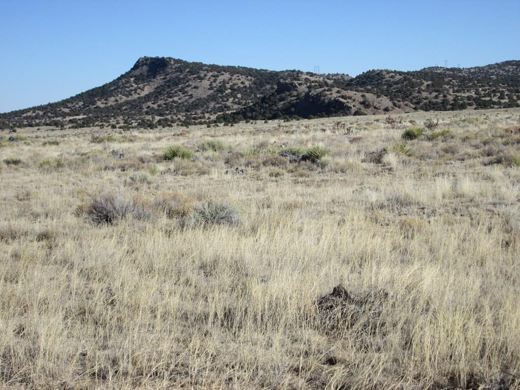 Lot 175 County Road Walsenburg, CO 81089 - Photo 1 of 1
