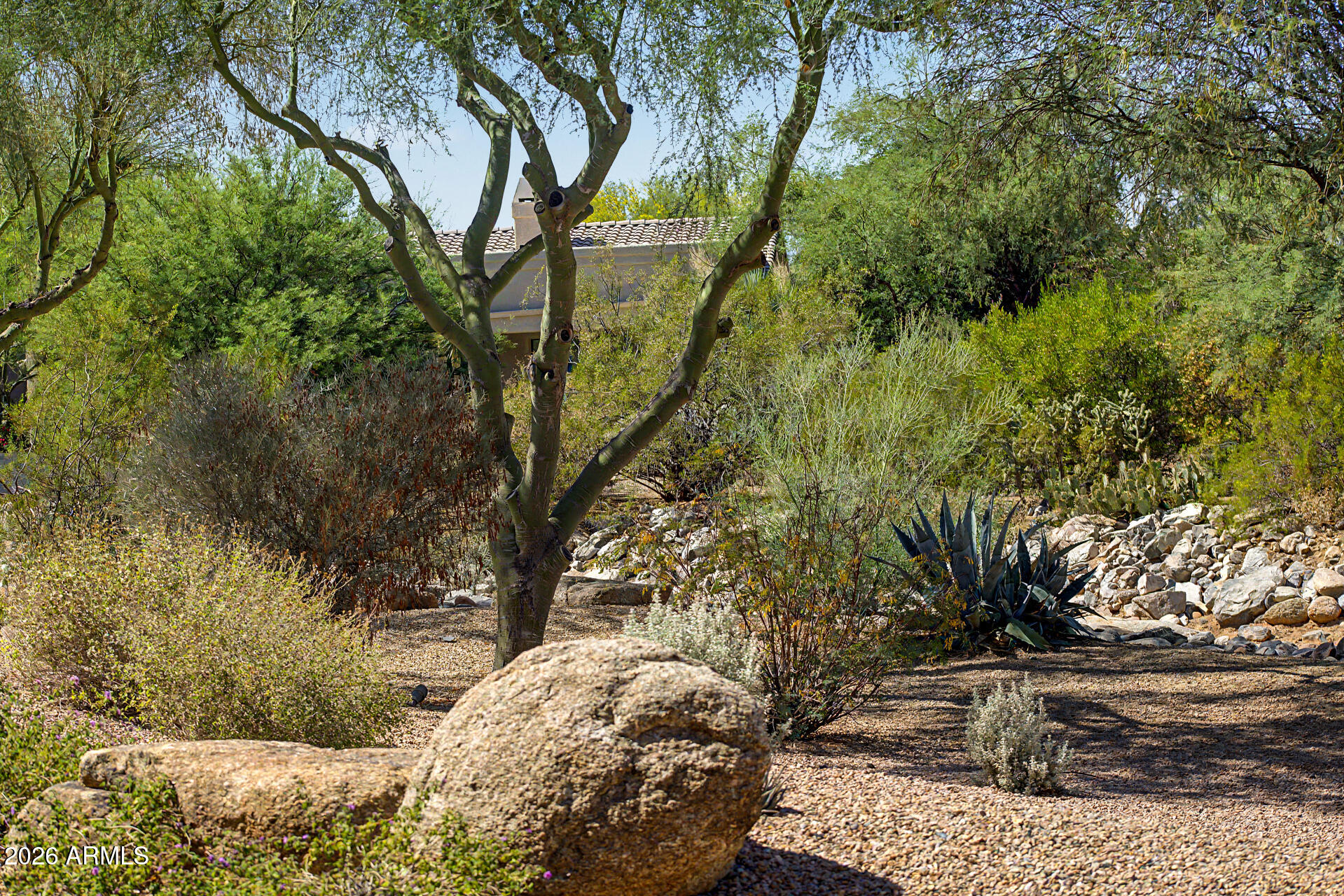 27909 North Quail Spring Road Rio Verde, AZ 85263 - Photo 38 of 52 a view of outdoor space and yard