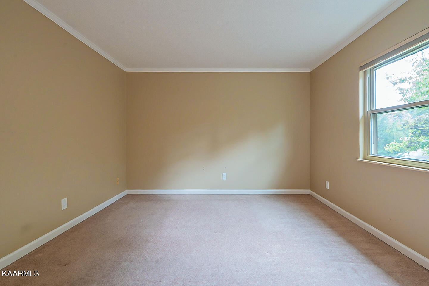 40 Brookside Drive Oak Ridge, TN 37830 - Photo 12 of 28 listing_11