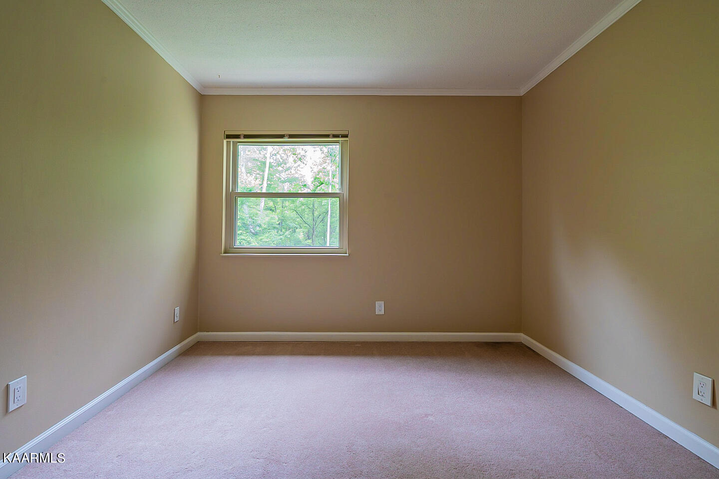 40 Brookside Drive Oak Ridge, TN 37830 - Photo 15 of 28 listing_14