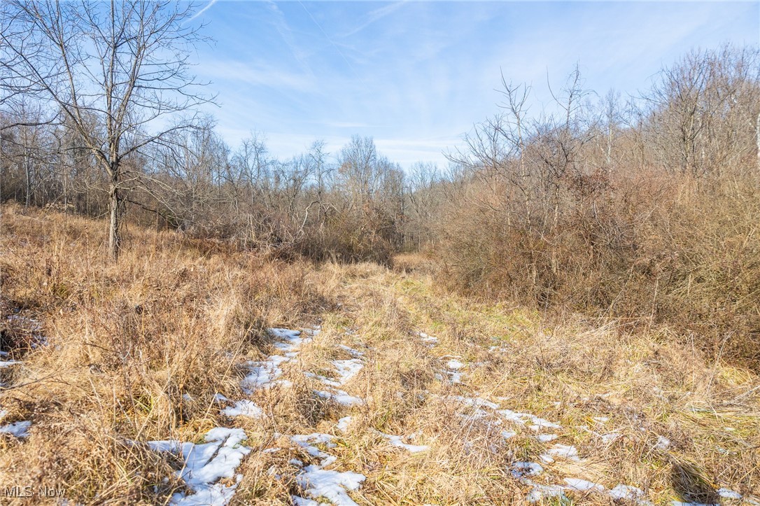 377 State Route Malta, OH 43758 - Photo 21 of 36 View of local wilderness