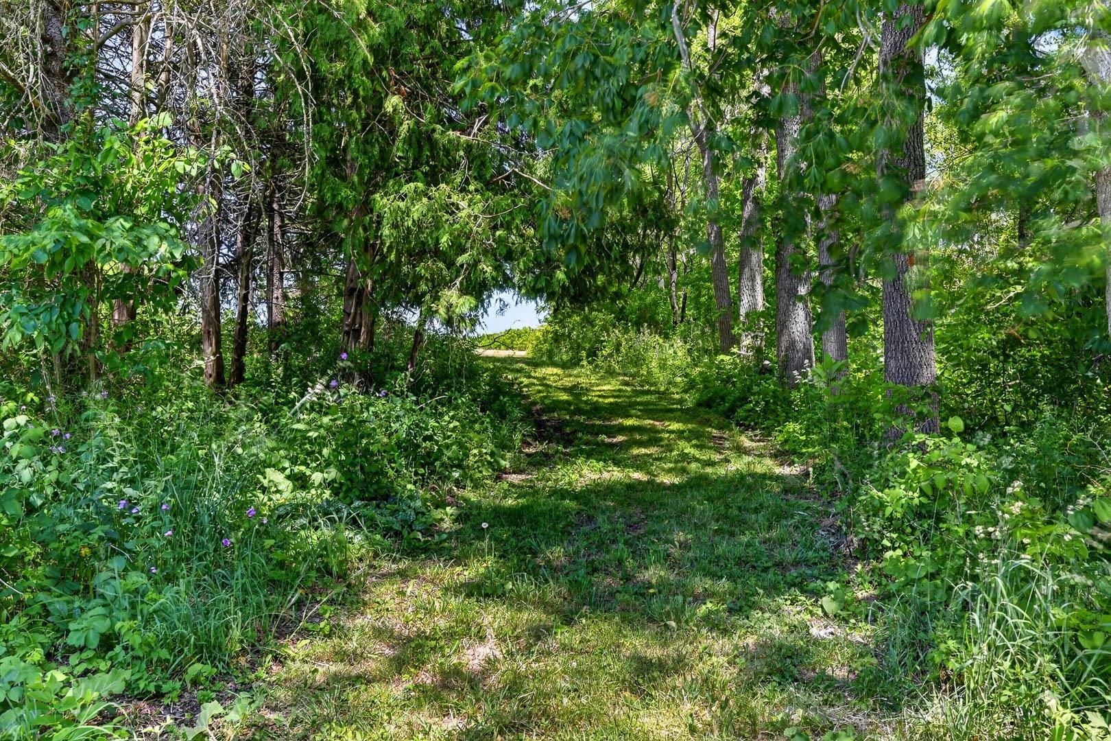 N2028 Steiner Road Monroe, WI 53566 - Photo 72 of 80