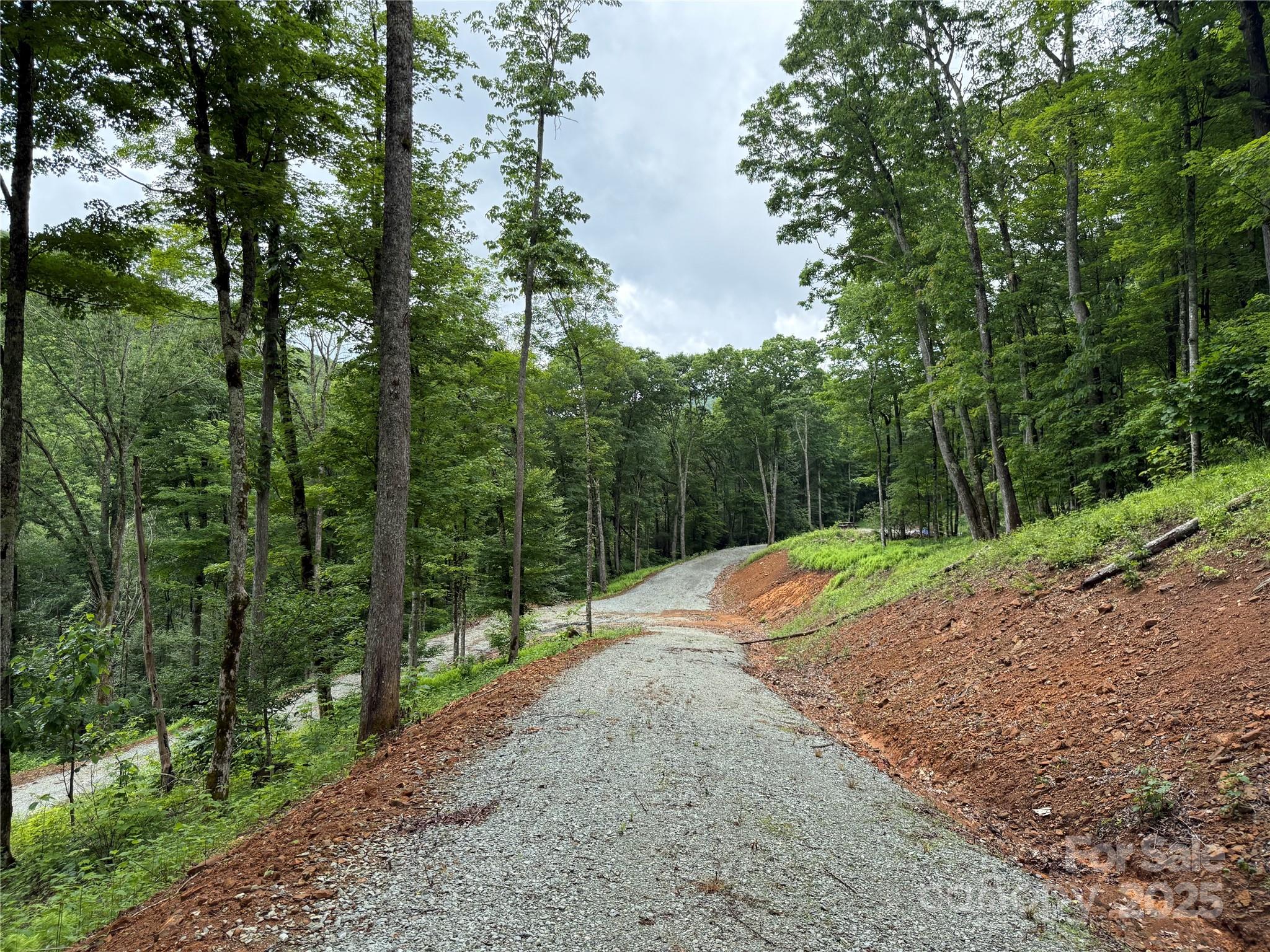 Tbd Junaluska Road Vilas, NC 28692 - Photo 11 of 34 a view of a road with a yard