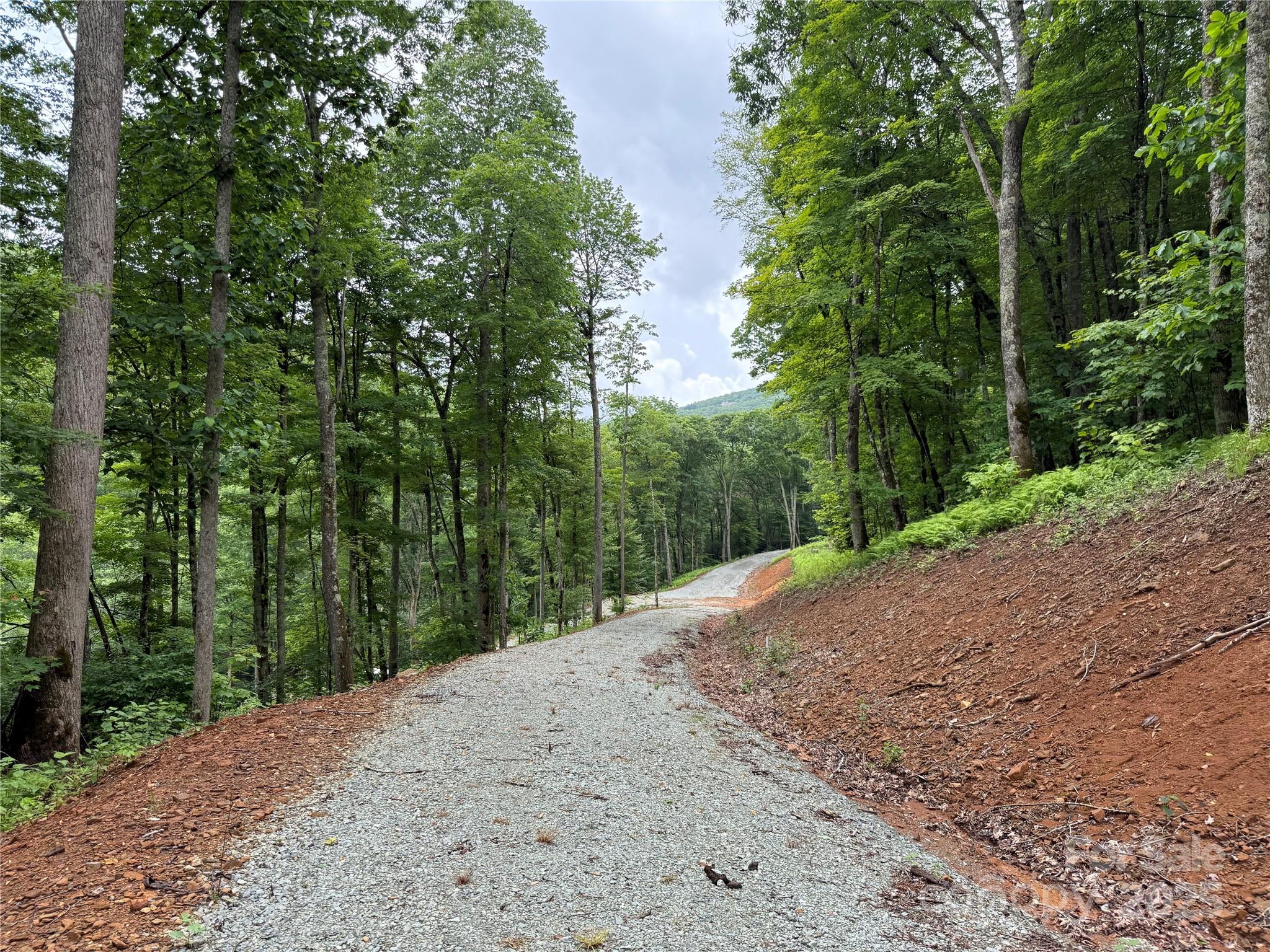 Tbd Junaluska Road Vilas, NC 28692 - Photo 12 of 34 a view of a road with trees in the background