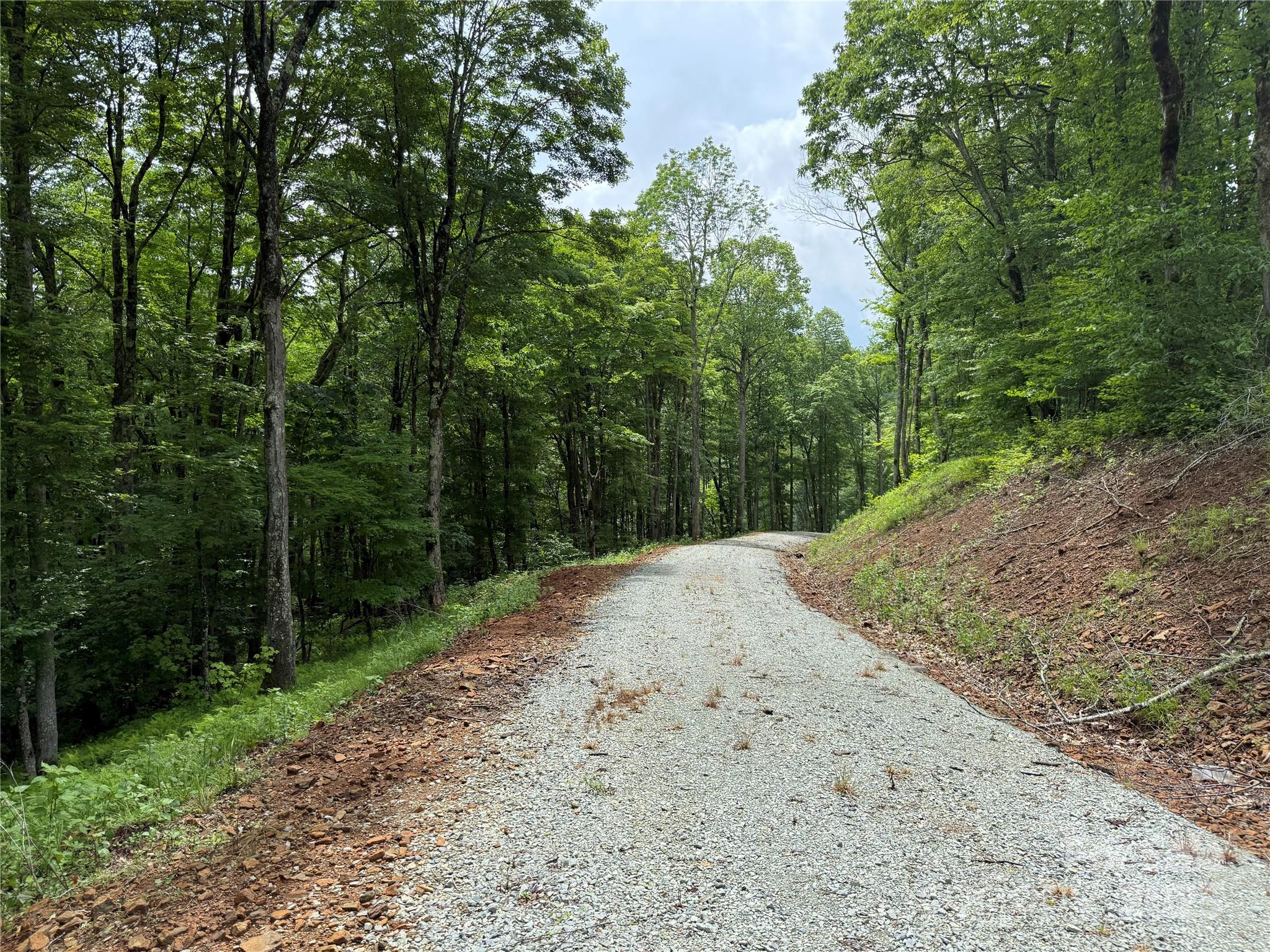Tbd Junaluska Road Vilas, NC 28692 - Photo 16 of 34 a view of a road with a trees in the background
