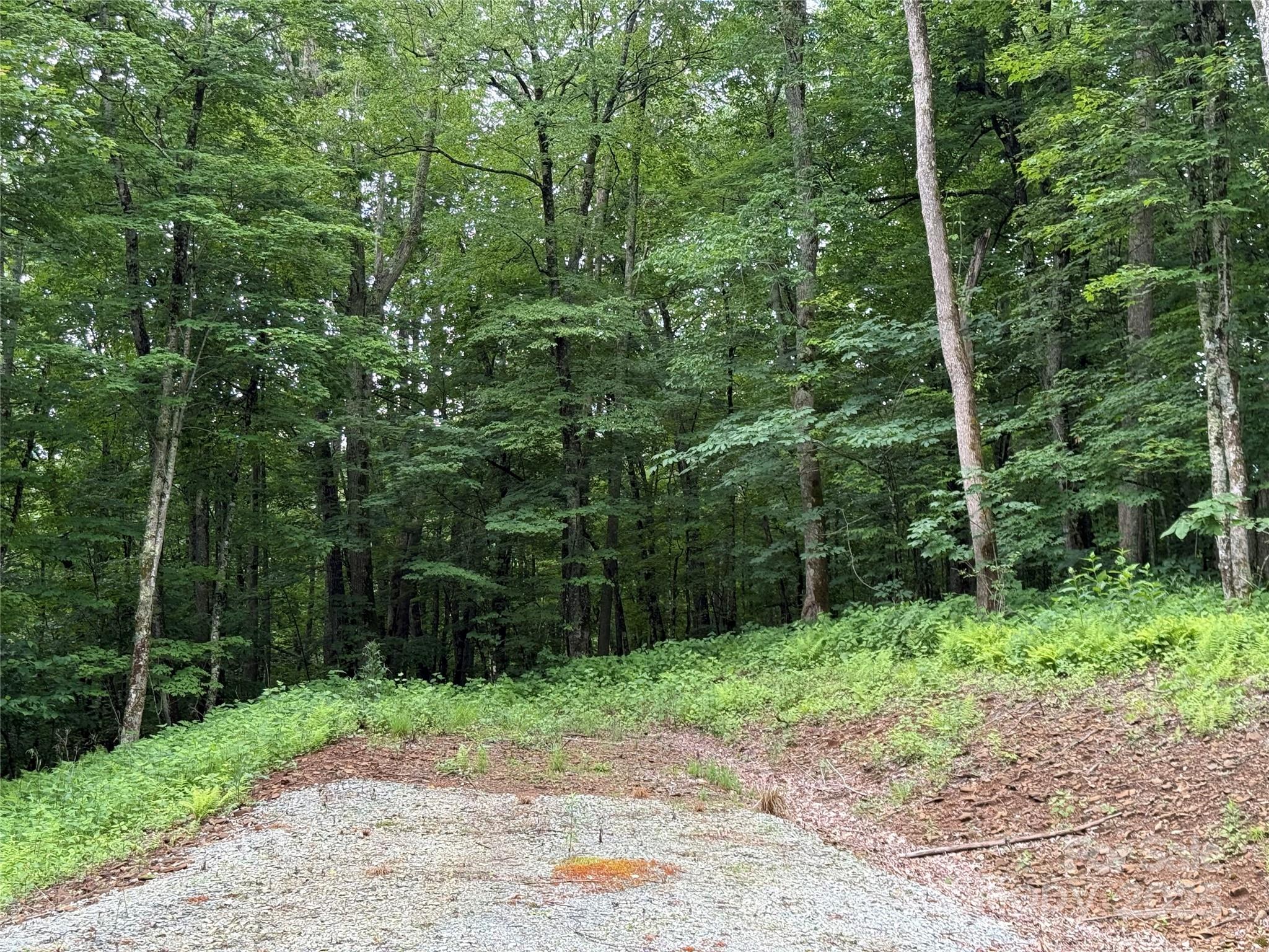 Tbd Junaluska Road Vilas, NC 28692 - Photo 22 of 34 a backyard of a house with lots of green space