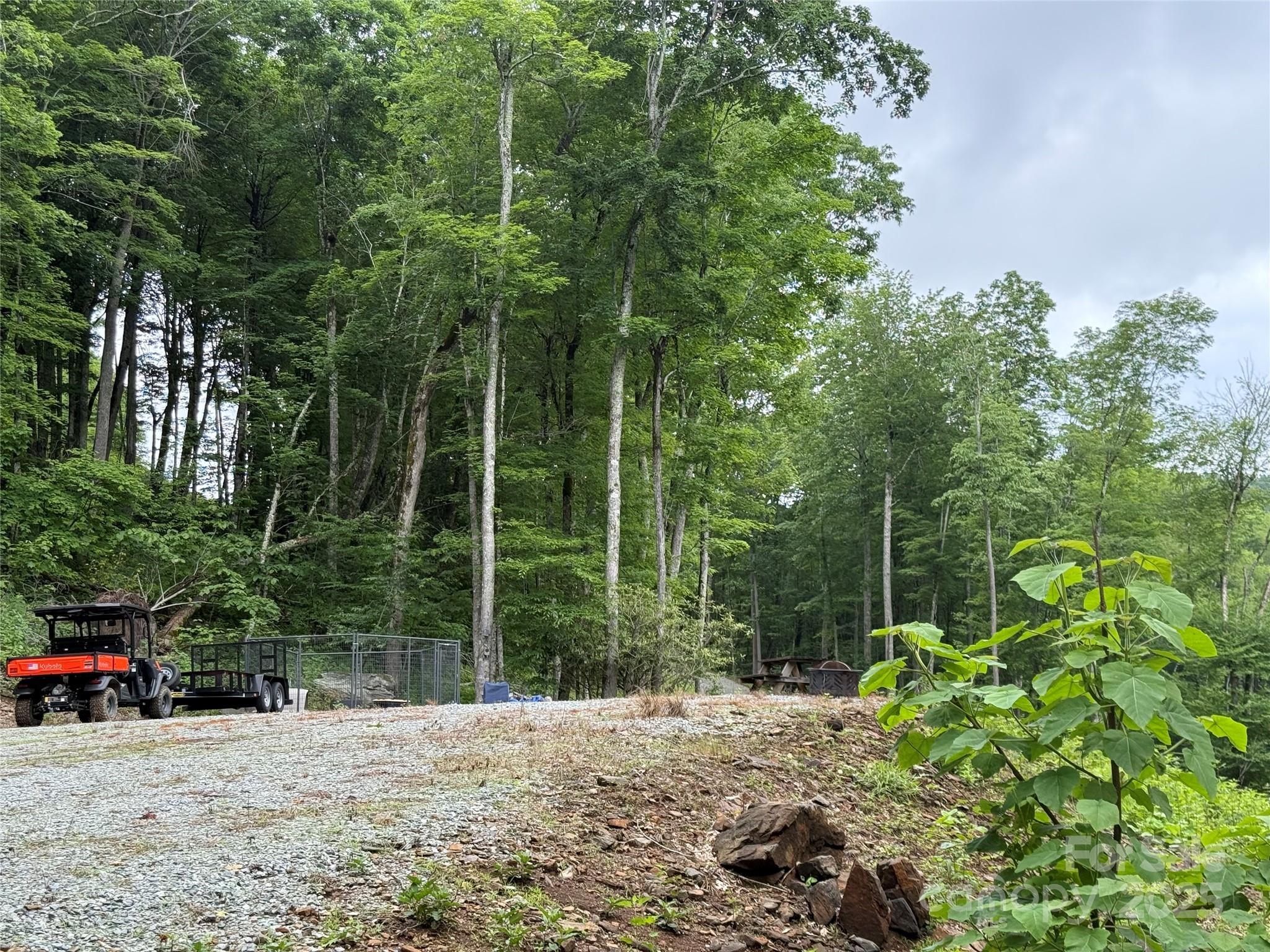 Tbd Junaluska Road Vilas, NC 28692 - Photo 25 of 34 a view of a backyard with plants