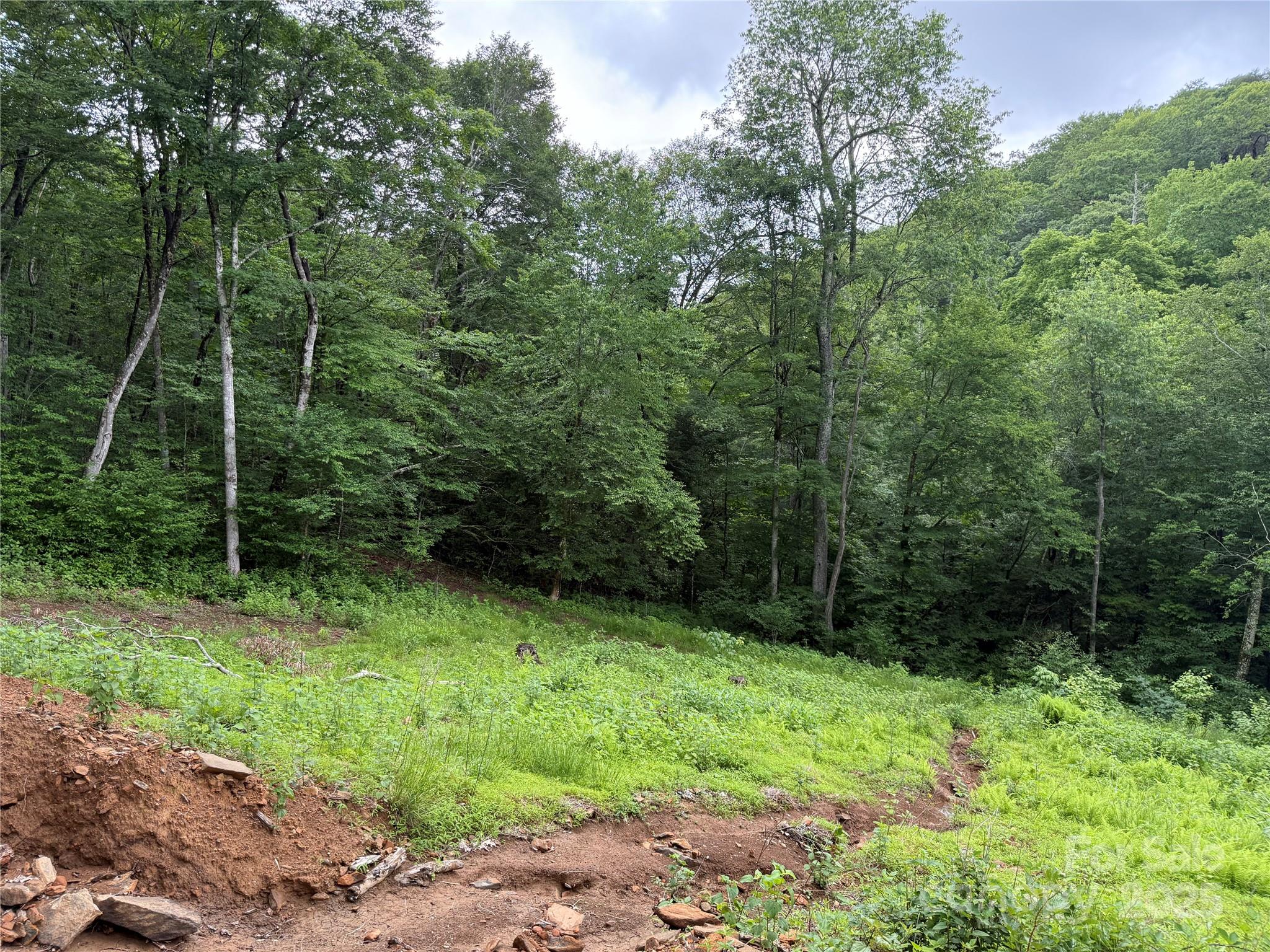 Tbd Junaluska Road Vilas, NC 28692 - Photo 27 of 34 a view of a backyard