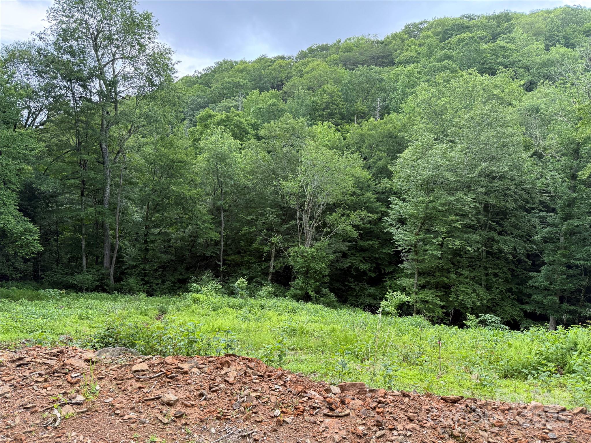 Tbd Junaluska Road Vilas, NC 28692 - Photo 28 of 34 a view of a yard with a trees