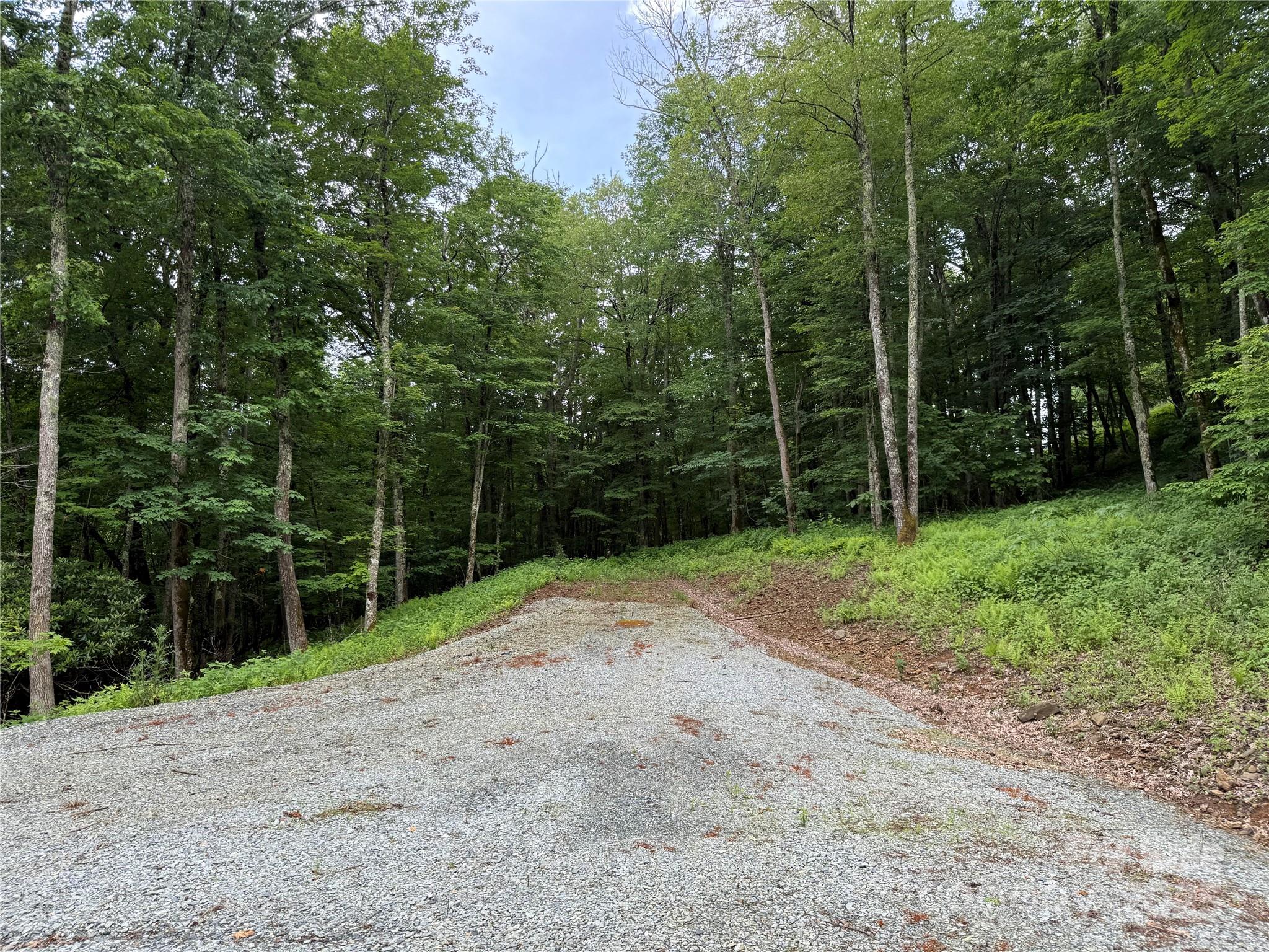 Tbd Junaluska Road Vilas, NC 28692 - Photo 29 of 34 a view of a yard with potted plants and a trees