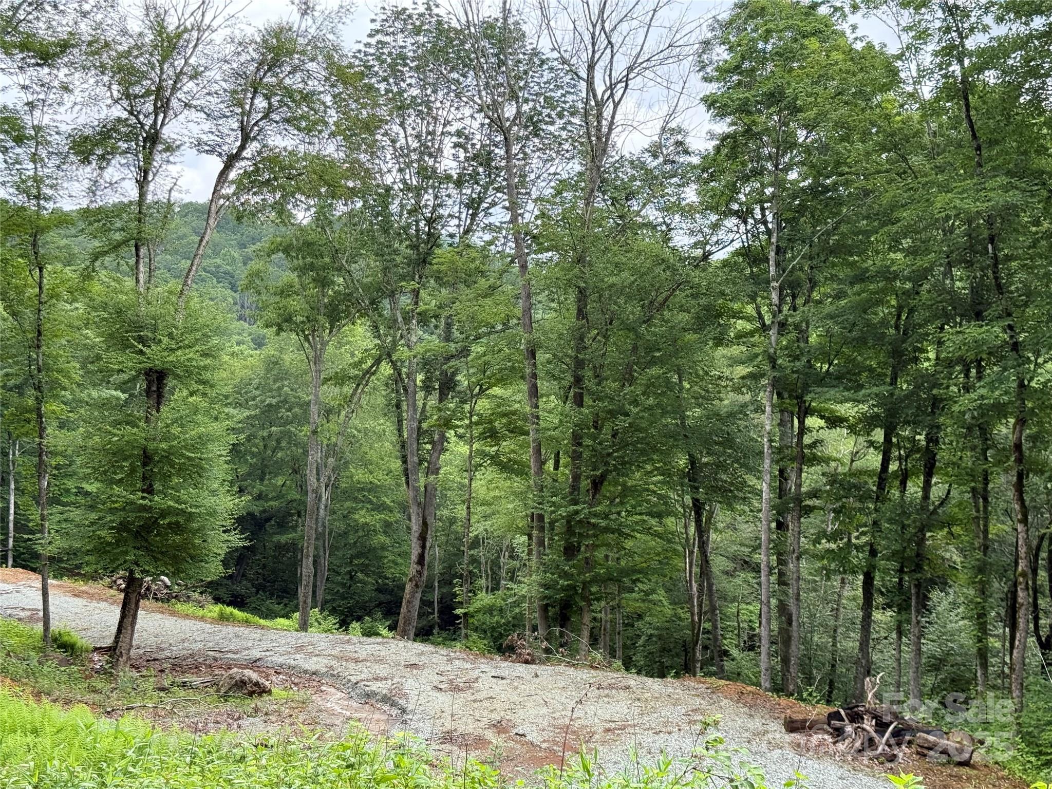 Tbd Junaluska Road Vilas, NC 28692 - Photo 30 of 34 a view of a bench in a backyard