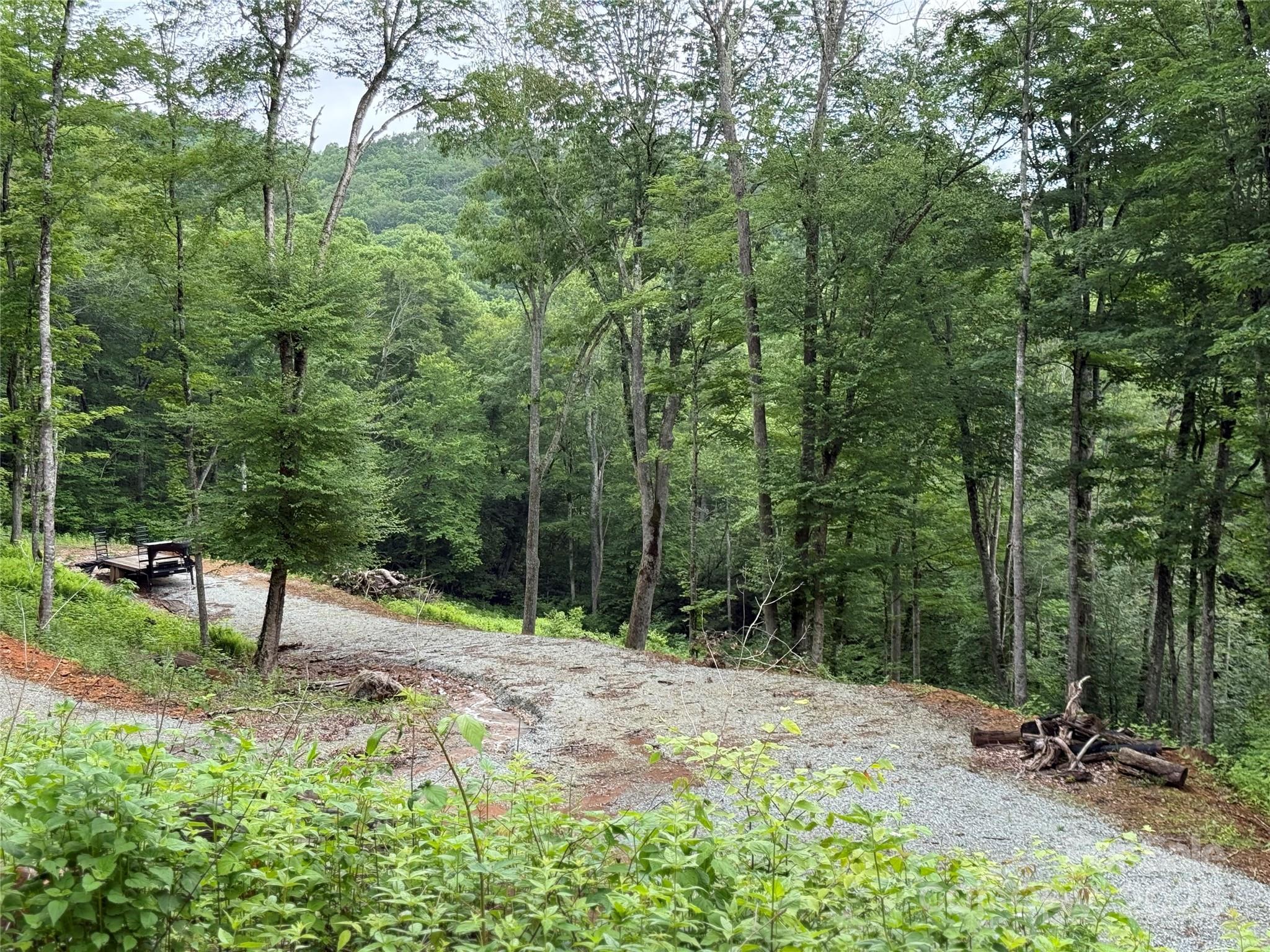 Tbd Junaluska Road Vilas, NC 28692 - Photo 31 of 34 a view of a forest with a bench and trees