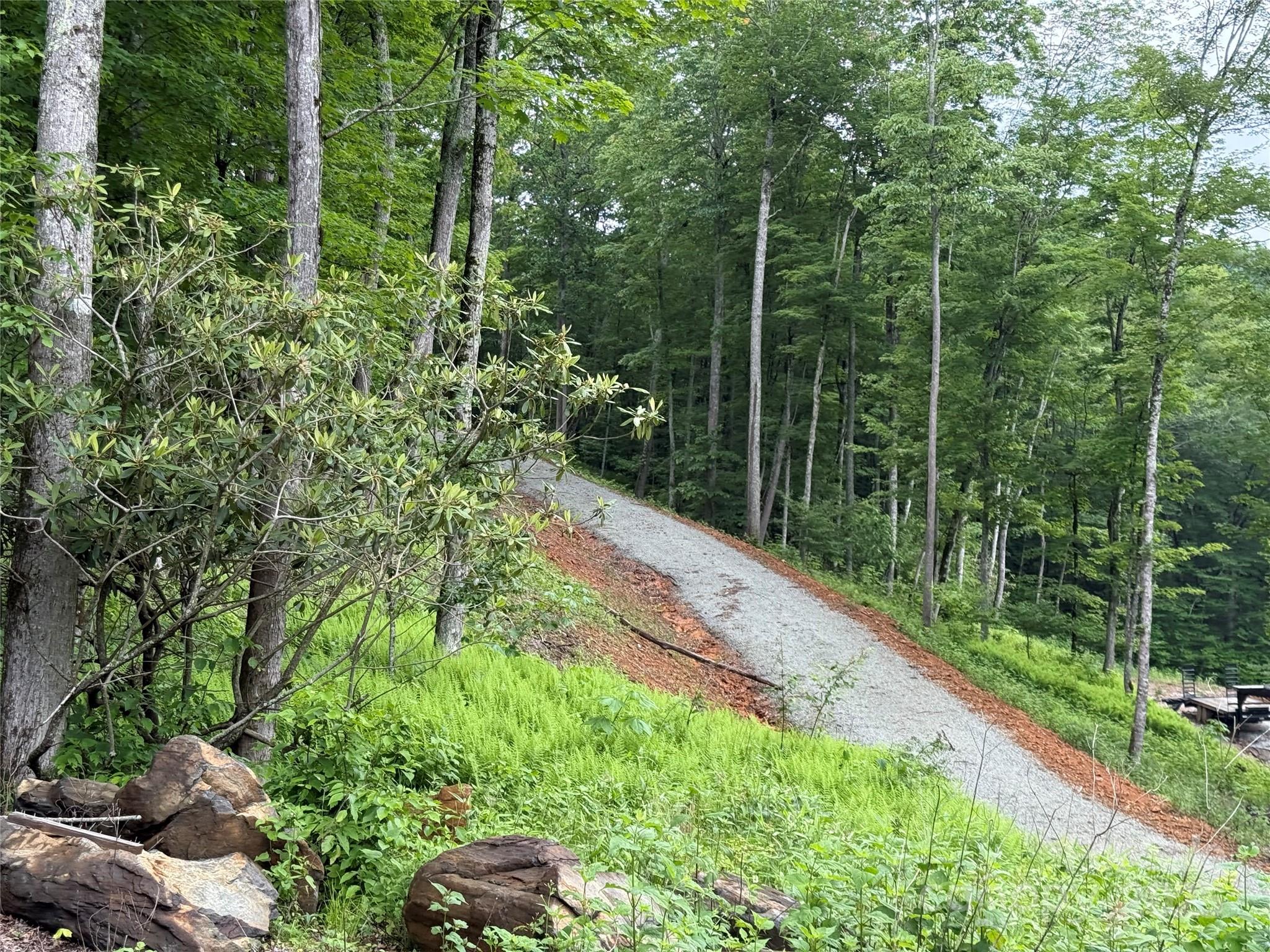 Tbd Junaluska Road Vilas, NC 28692 - Photo 32 of 34 a view of a backyard with plants