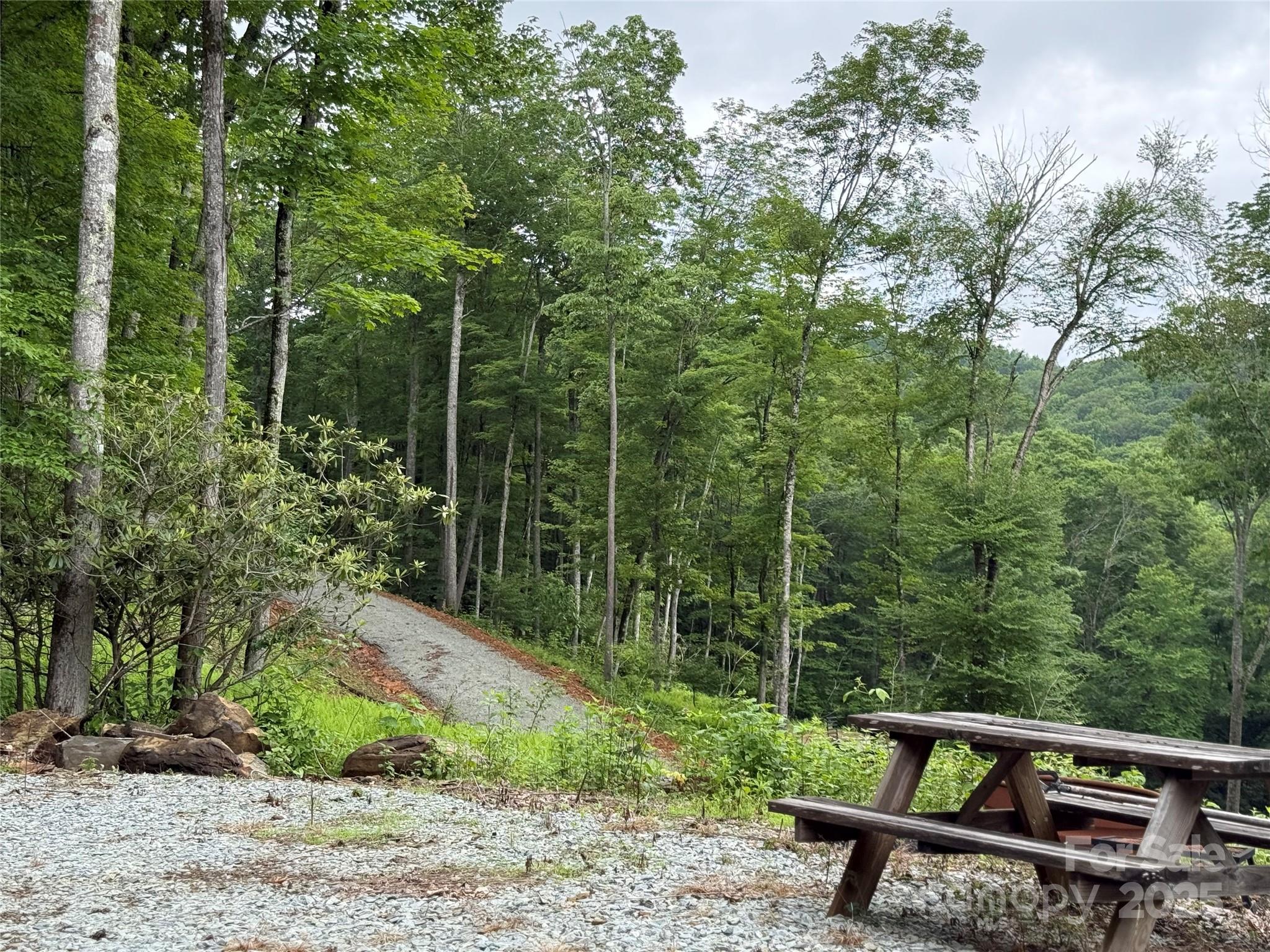 Tbd Junaluska Road Vilas, NC 28692 - Photo 34 of 34 a view of a wooden bench and trees in the background