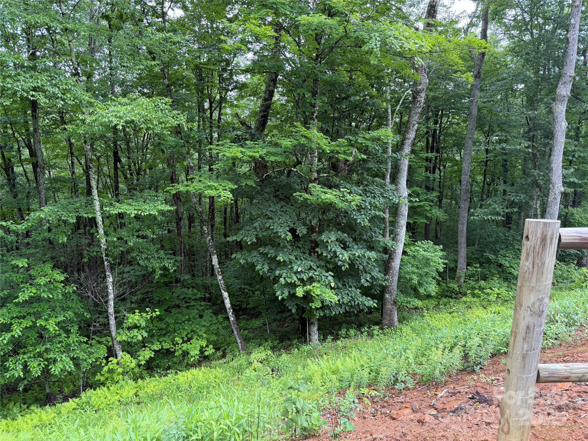 Tbd Junaluska Road Vilas, NC 28692 - Photo 4 of 34 a view of a lush green forest