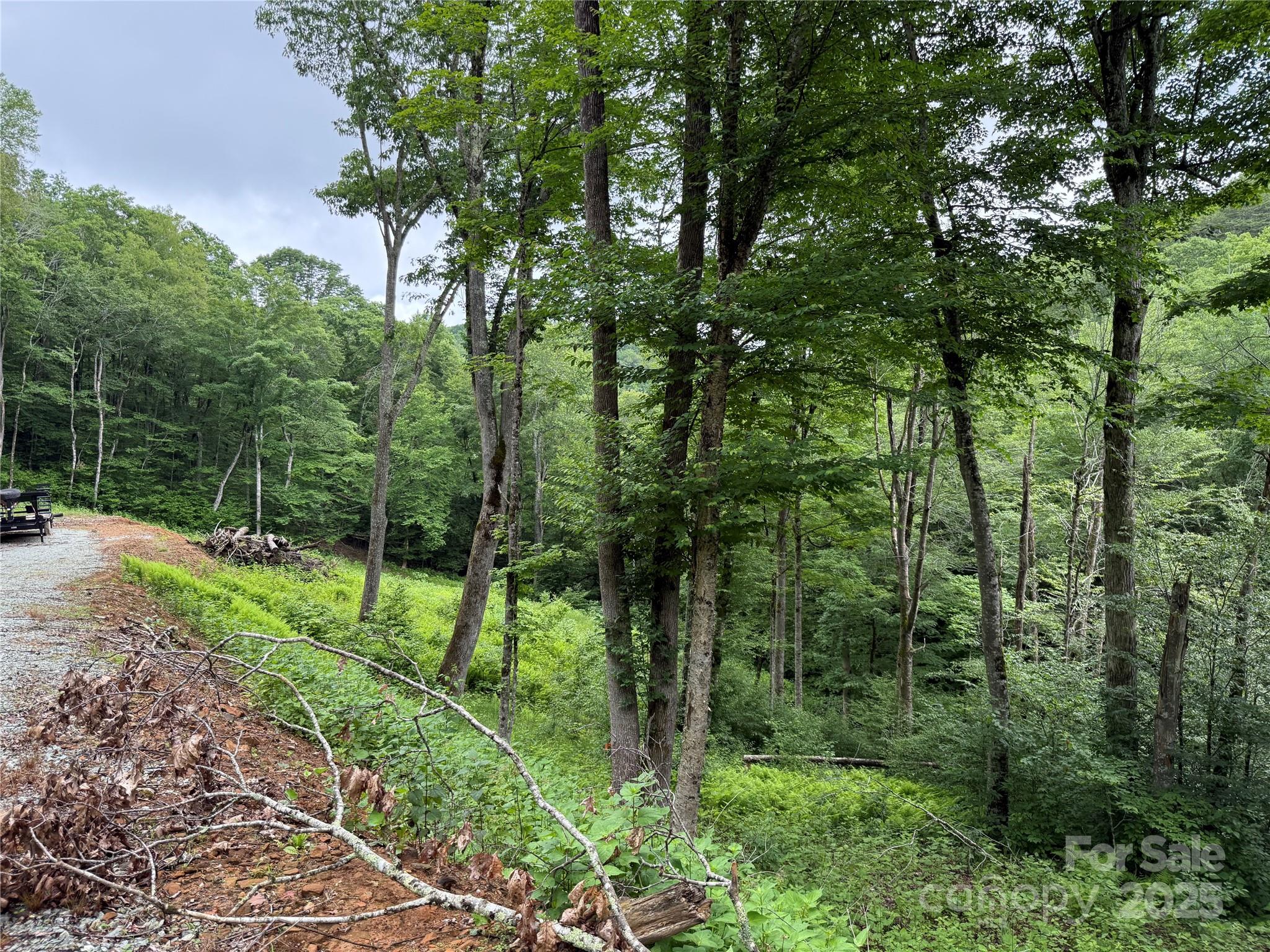 Tbd Junaluska Road Vilas, NC 28692 - Photo 8 of 34 a view of a park