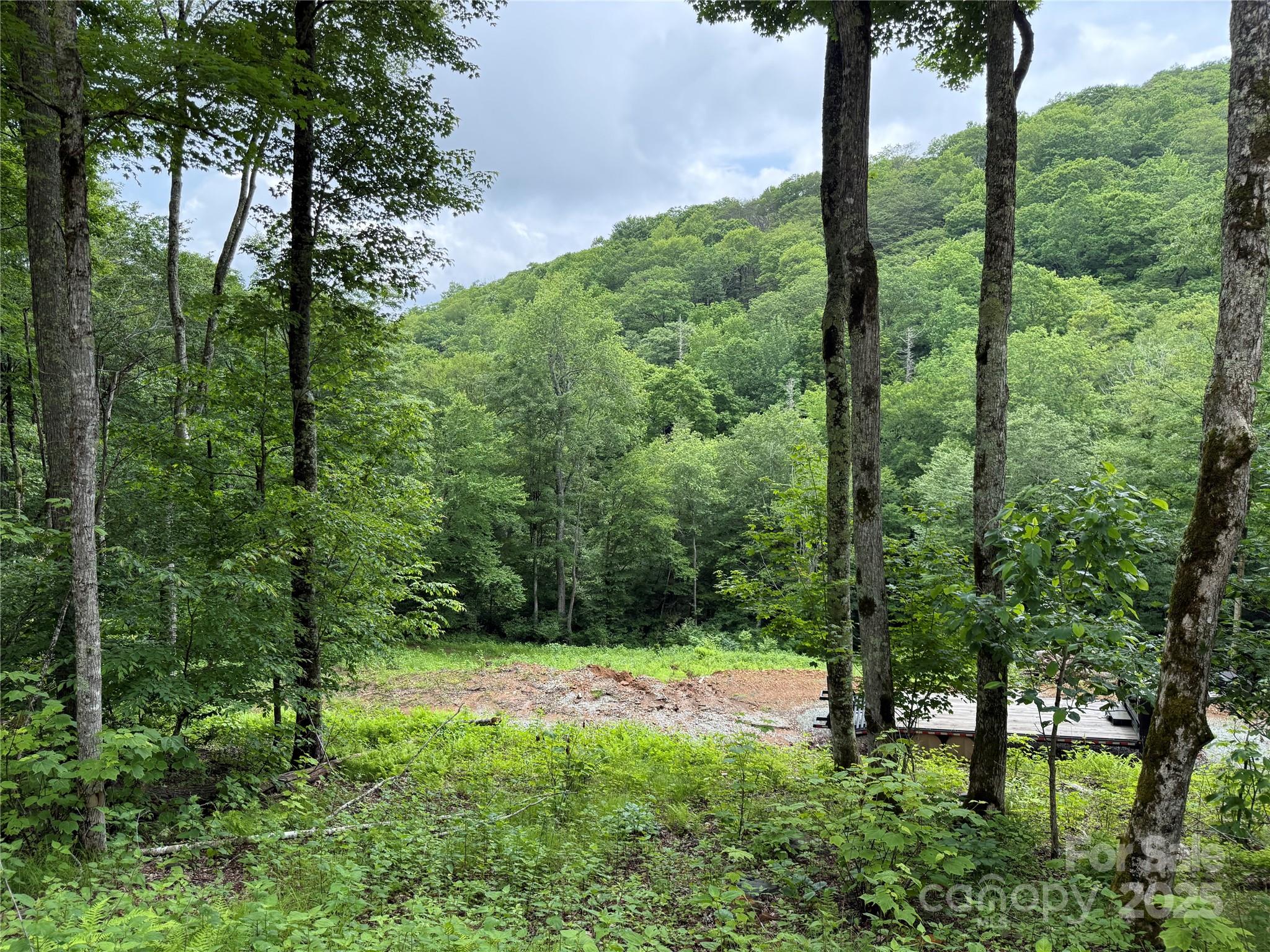 Tbd Junaluska Road Vilas, NC 28692 - Photo 9 of 34 a view of a trees in a yard