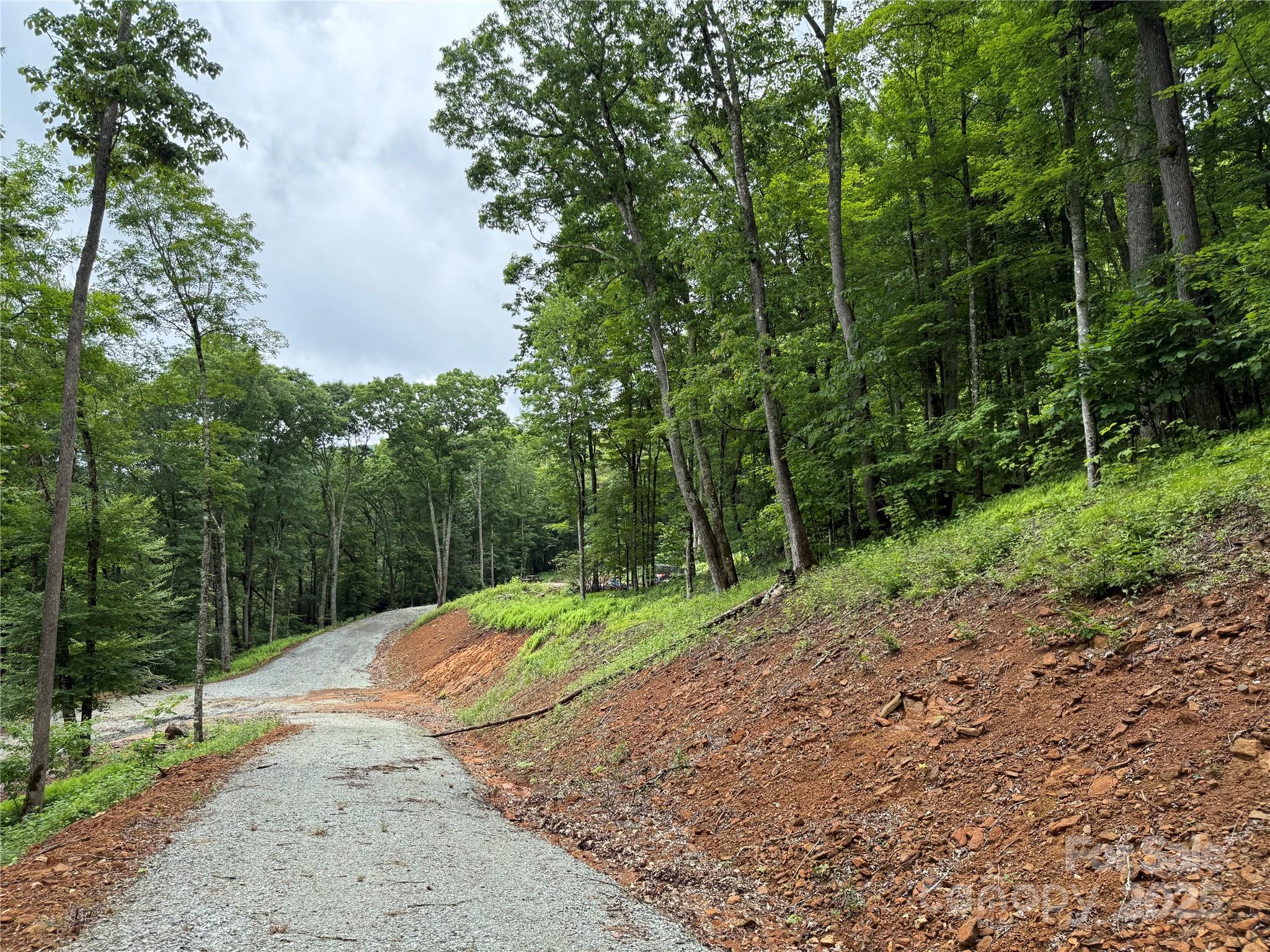 Tbd Junaluska Road Vilas, NC 28692 - Photo 10 of 34 a view of a road with a yard