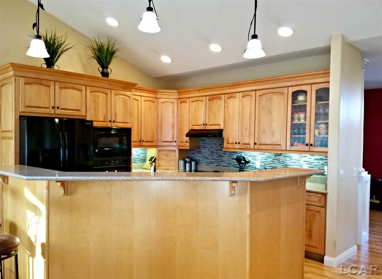 1191 West Gier Road Adrian, MI 49221 - Photo 22 of 57