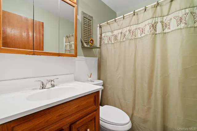 a bathroom with a sink a toilet and shower curtain