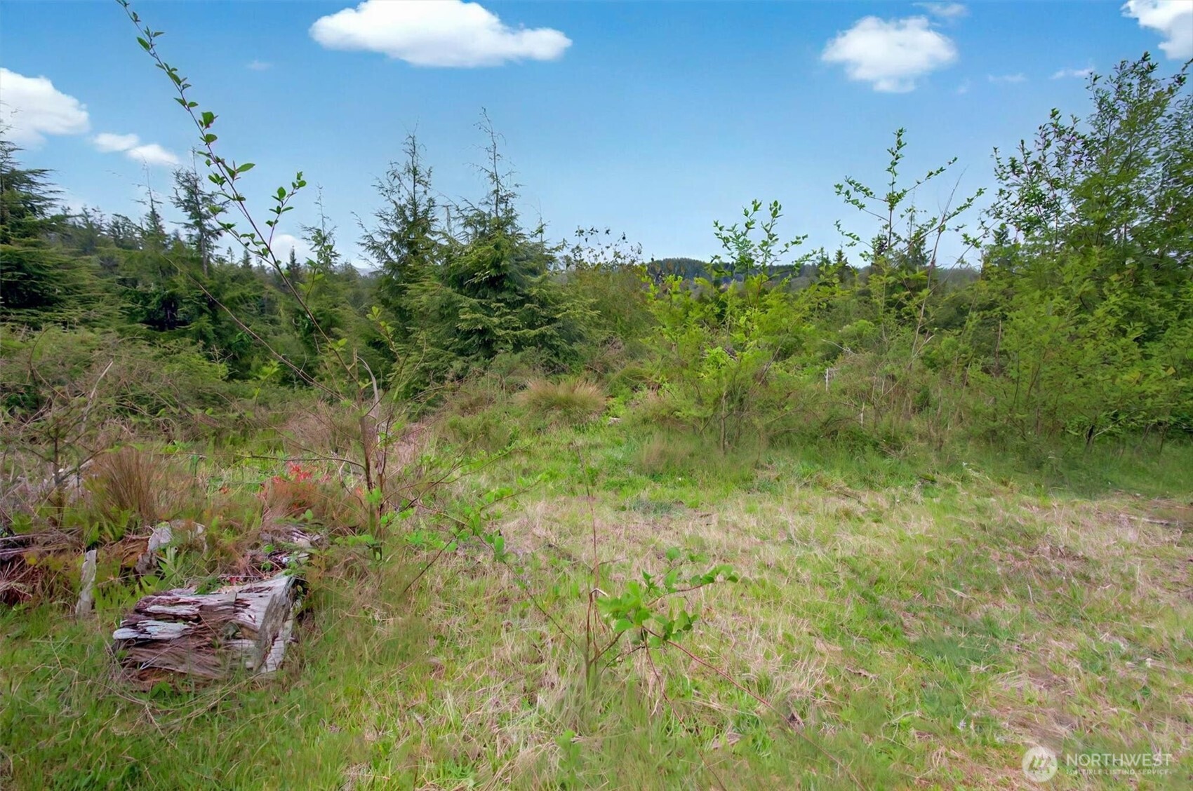 4 Parpala Road, Unit 4 Naselle, WA 98638 - Photo 13 of 18