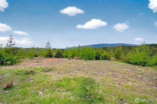$309,000 | 4 Parpala Road, Unit 4, Naselle, WA 98638