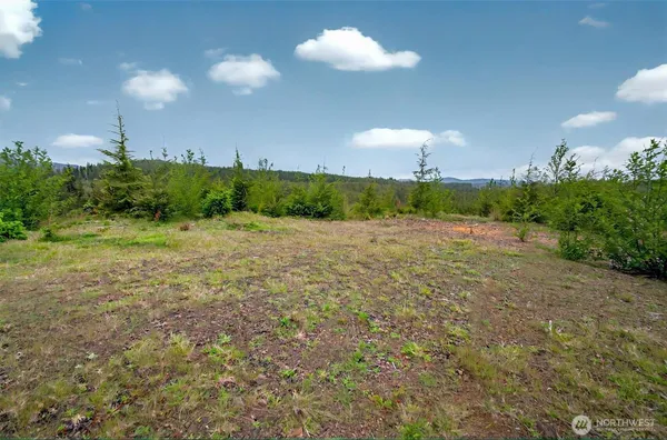 $309,000 | 4 Parpala Road, Unit 4, Naselle, WA 98638
