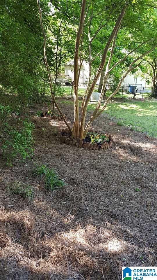 1228 12th Avenue Birmingham, AL 35228 - Photo 22 of 24