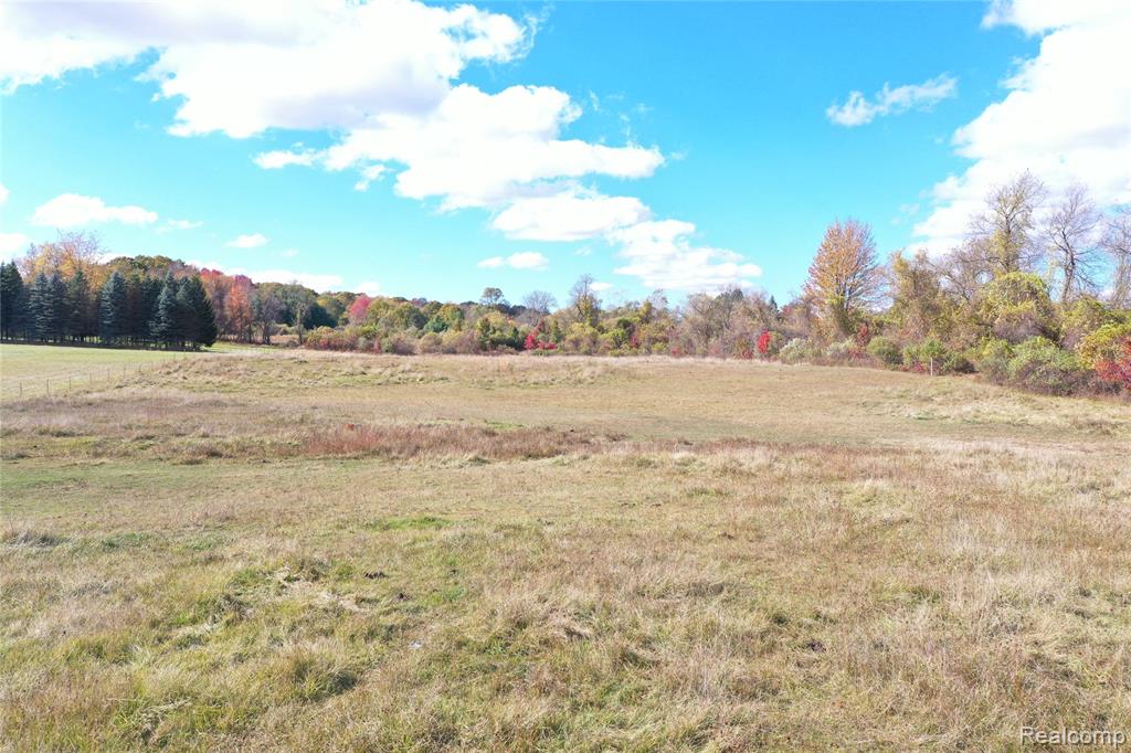 1 Lake George Road Attica, MI 48412 - Photo 3 of 15