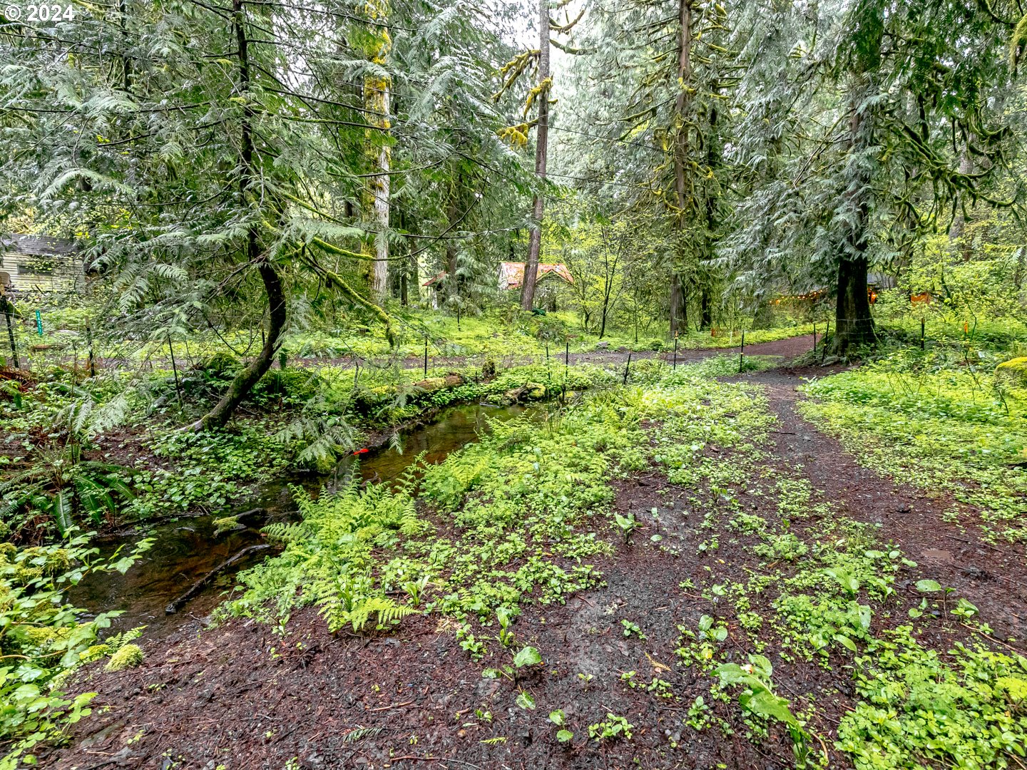 24811 East Old Smokey Road Rhododendron, OR 97049 - Photo 25 of 25 Gallery Image 25