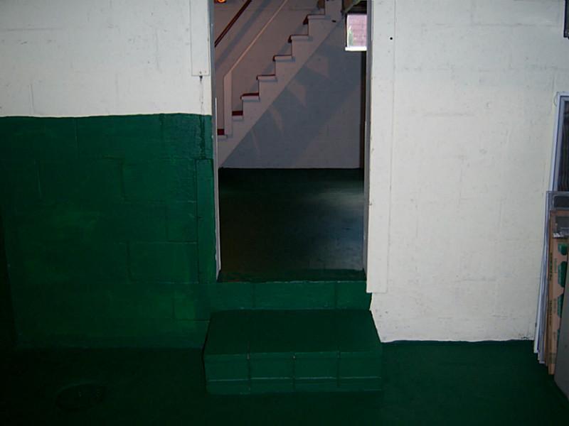 615 Adams Street Rochester, PA 15074 - Photo 9 of 13 Basement/Game Room.