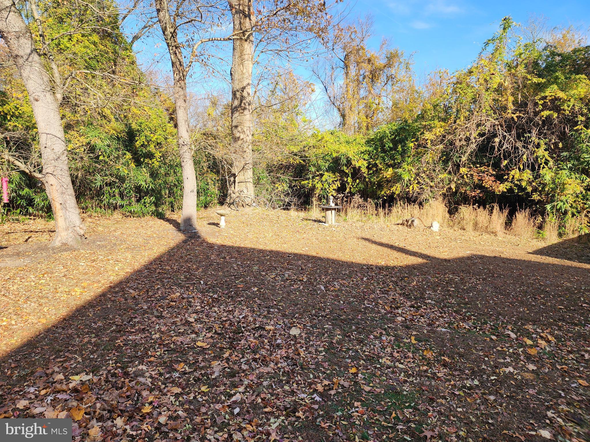 2307 Cooper Road Atco, NJ 08004 - Photo 7 of 47 a view of a yard with a tree