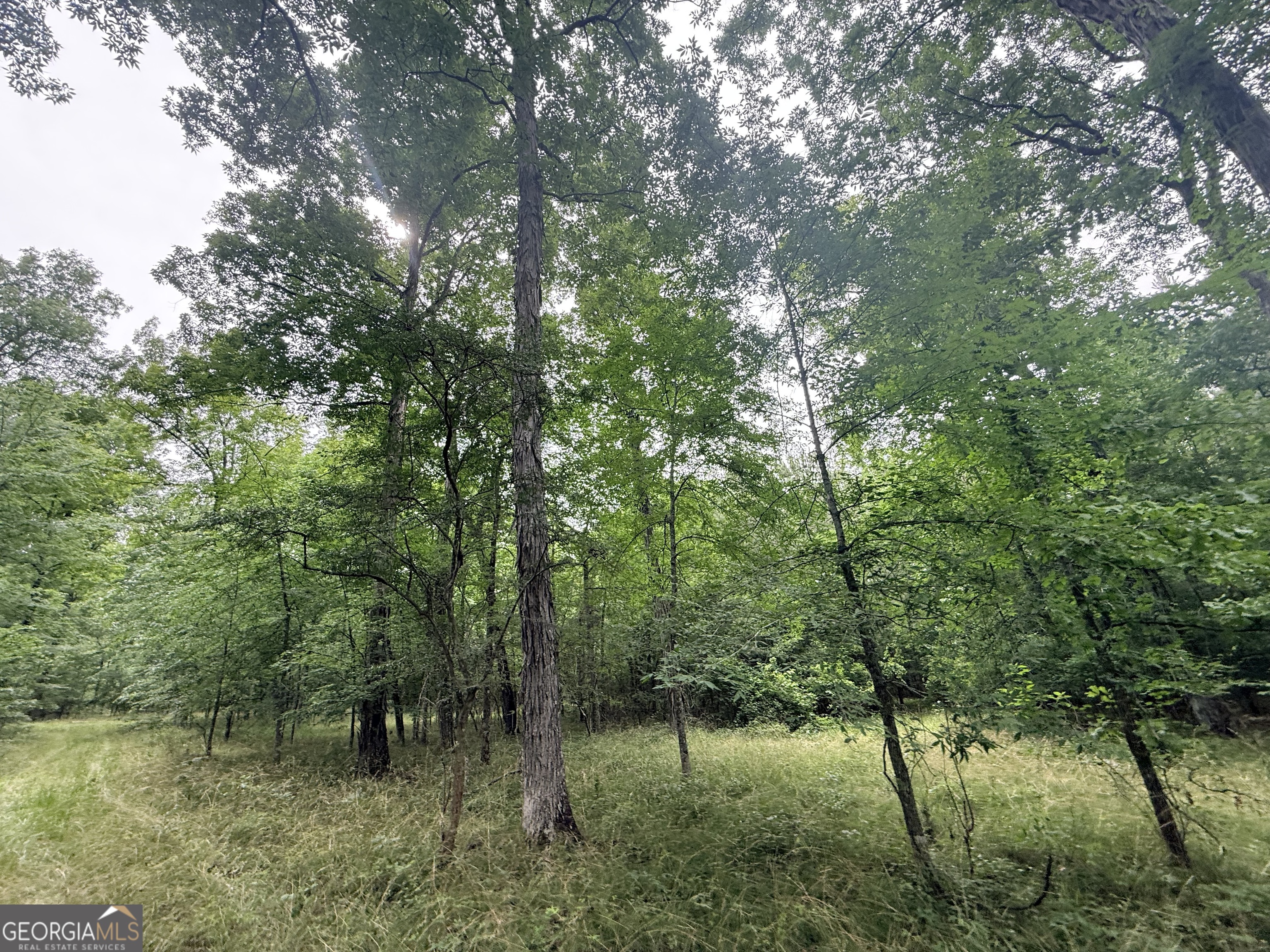 1 Bethesda Church Road Lexington, GA 30648 - Photo 28 of 78