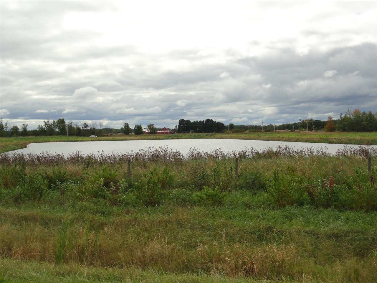 42-acres County Rd P Milladore, WI 54454 - Photo 1 of 1