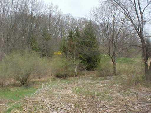 17230 Garvey Road Chelsea, MI 48118 - Photo 8 of 8 Photo 8