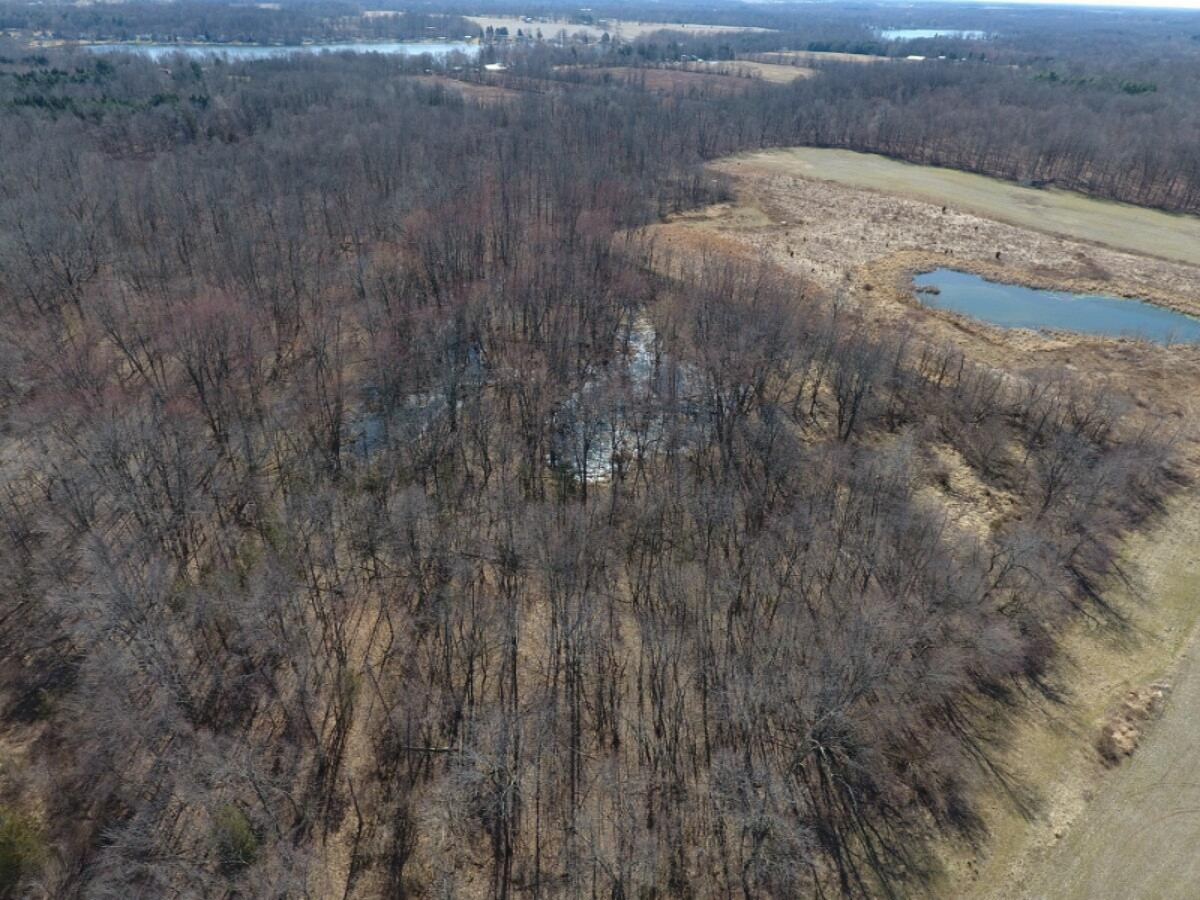 7801 West Hallett Road Reading, MI 49274 - Photo 11 of 27 DJI_0011