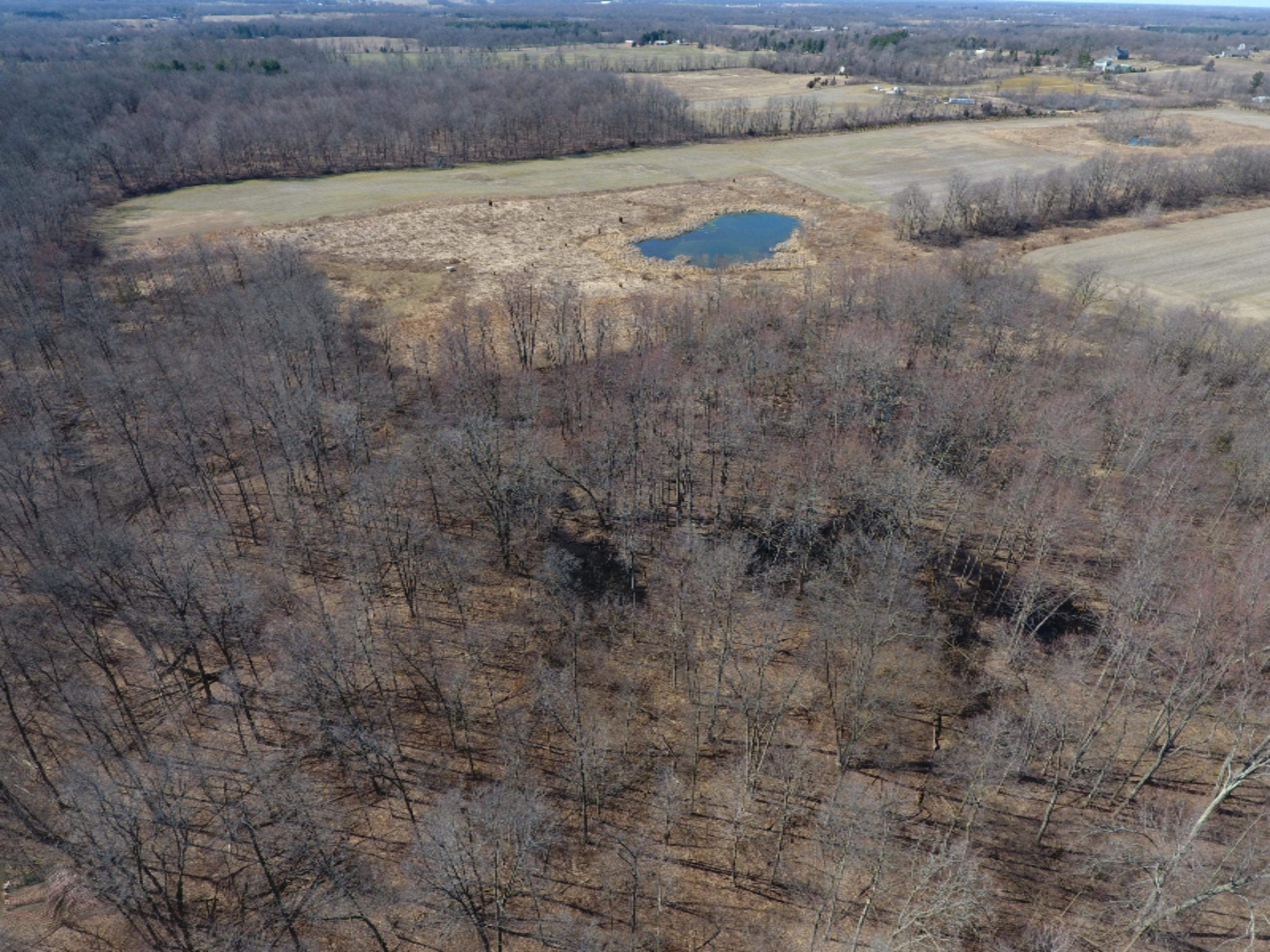 7801 West Hallett Road Reading, MI 49274 - Photo 12 of 27 DJI_0012