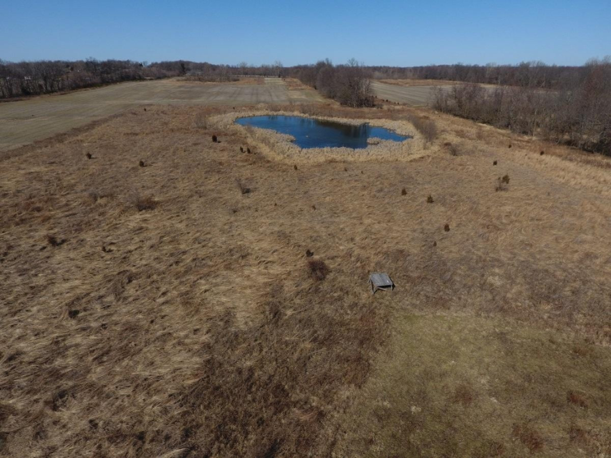7801 West Hallett Road Reading, MI 49274 - Photo 15 of 27 DJI_0015