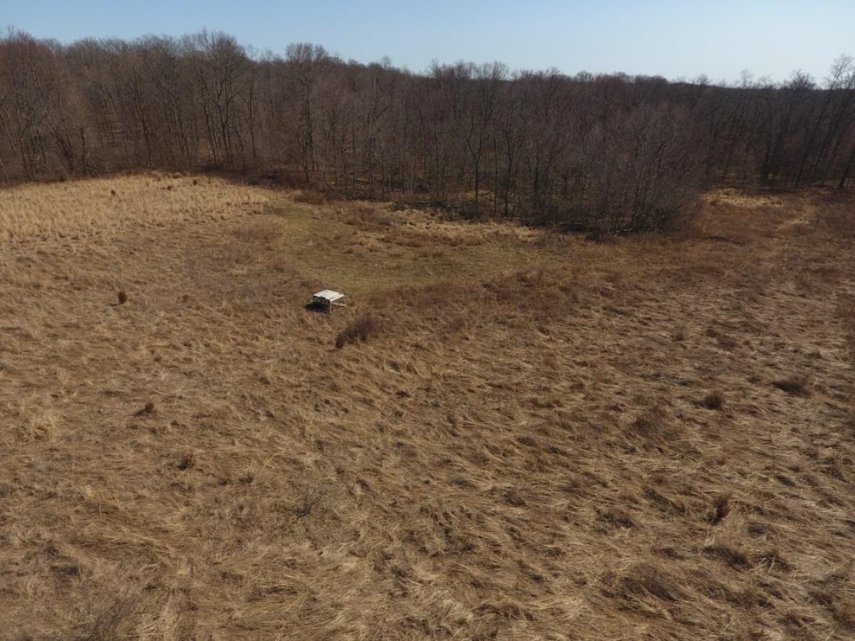 7801 West Hallett Road Reading, MI 49274 - Photo 16 of 27 DJI_0016