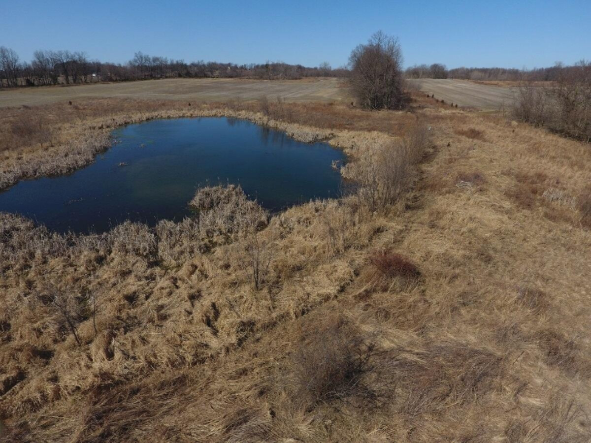 7801 West Hallett Road Reading, MI 49274 - Photo 17 of 27 DJI_0017