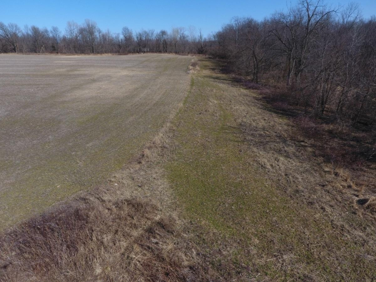 7801 West Hallett Road Reading, MI 49274 - Photo 18 of 27 DJI_0018