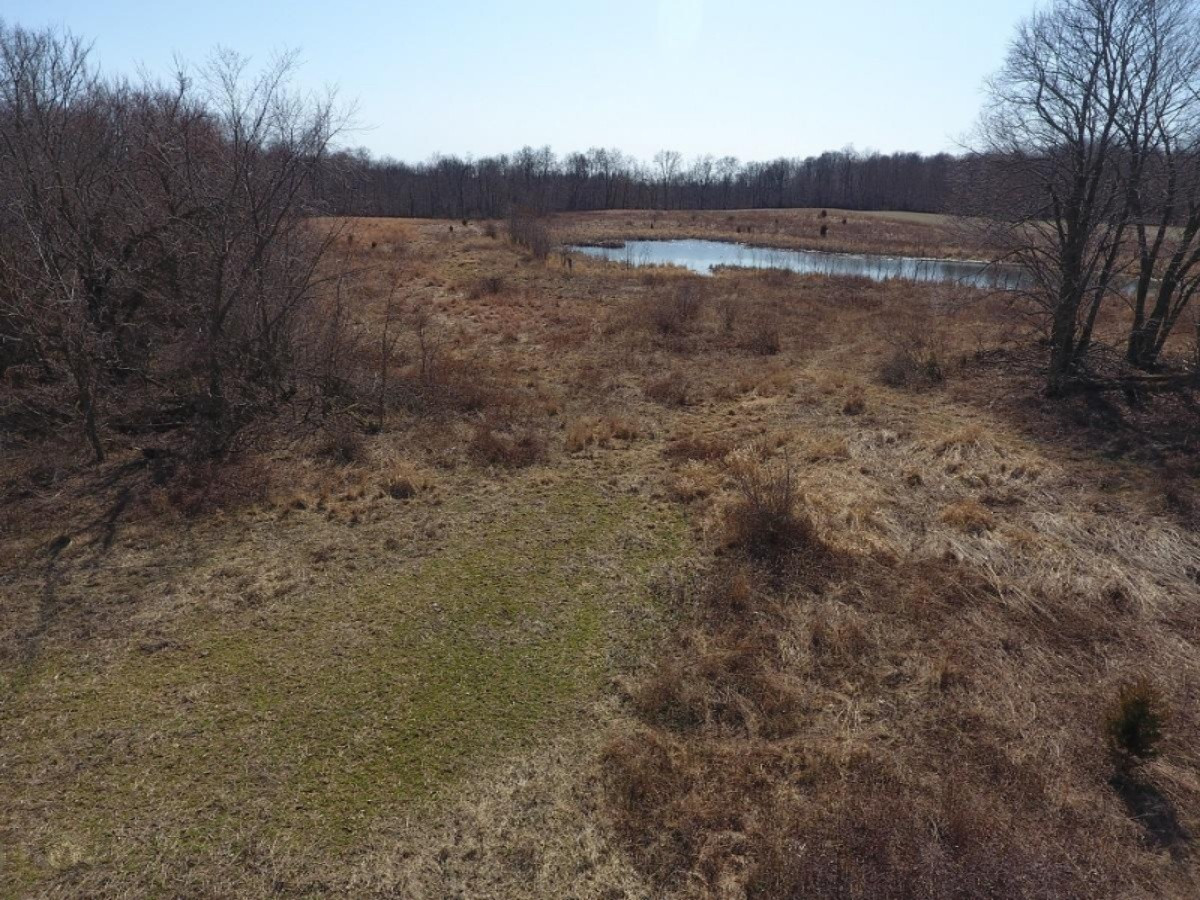 7801 West Hallett Road Reading, MI 49274 - Photo 20 of 27 DJI_0020