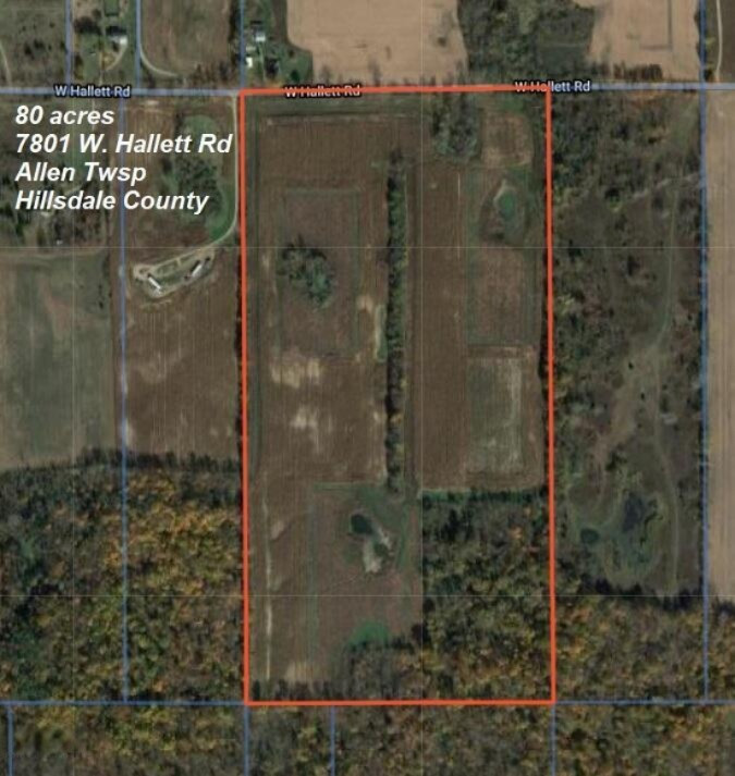 7801 West Hallett Road Reading, MI 49274 - Photo 2 of 27 80 ac W. Hallett Rd