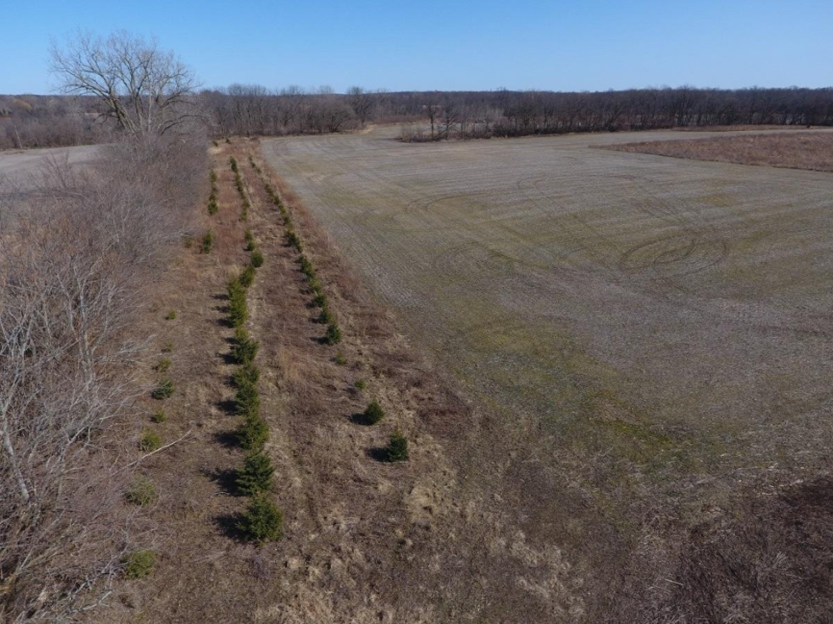 7801 West Hallett Road Reading, MI 49274 - Photo 25 of 27 DJI_0025