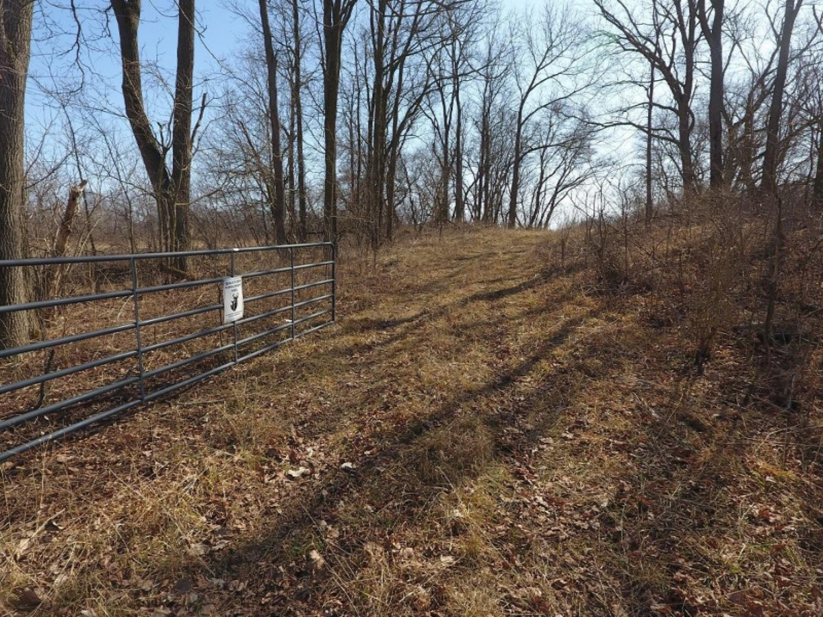 7801 West Hallett Road Reading, MI 49274 - Photo 4 of 27 DJI_0004