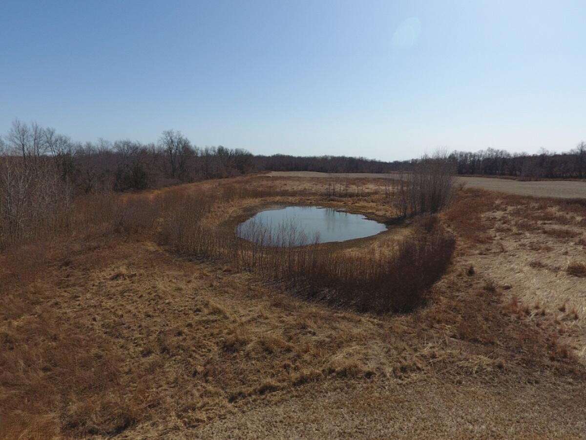 7801 West Hallett Road Reading, MI 49274 - Photo 6 of 27 DJI_0006