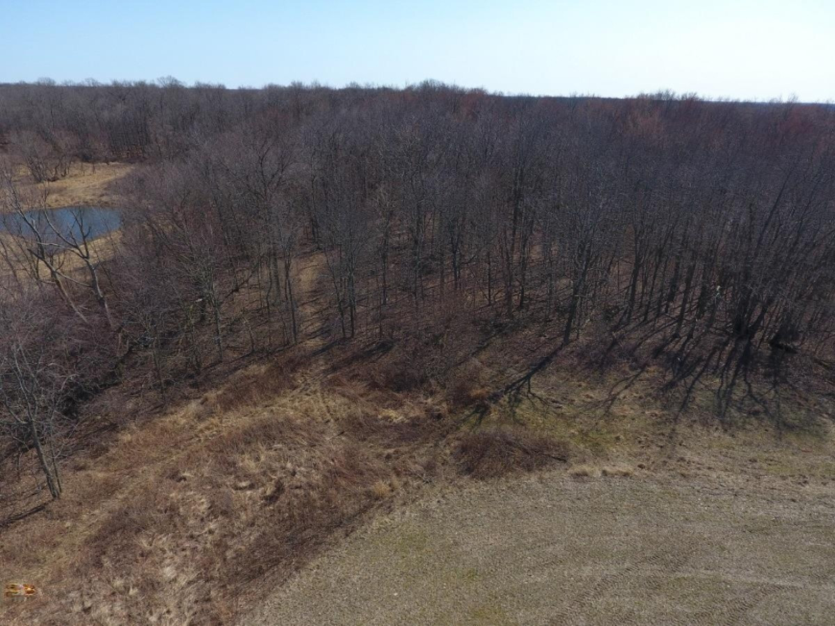 7801 West Hallett Road Reading, MI 49274 - Photo 9 of 27 DJI_0009