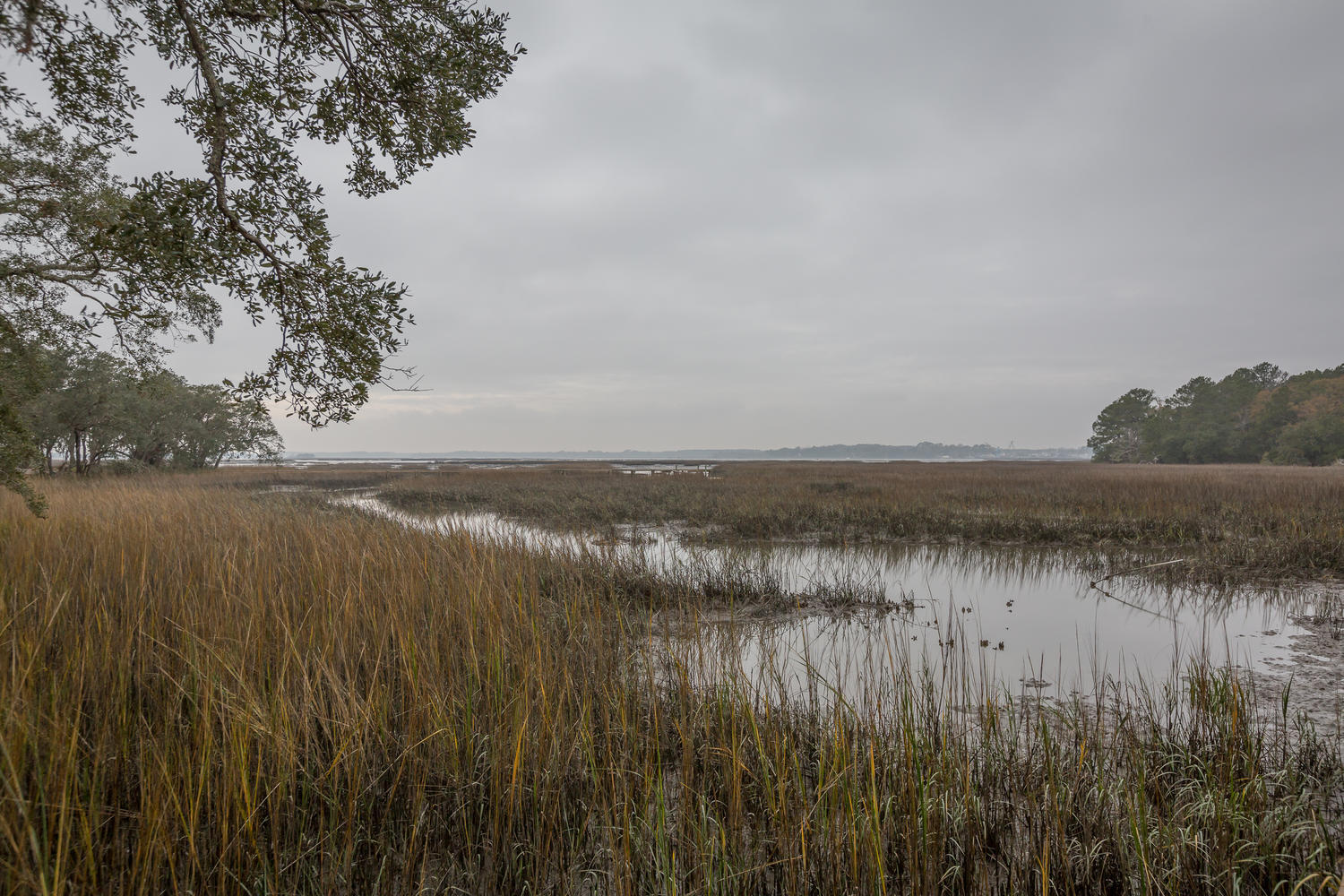 1404 Polly Point Road Wadmalaw Island, SC 29487 - Photo 20 of 21 1404 Polly Point Rd Wadmalaw-large-033-3