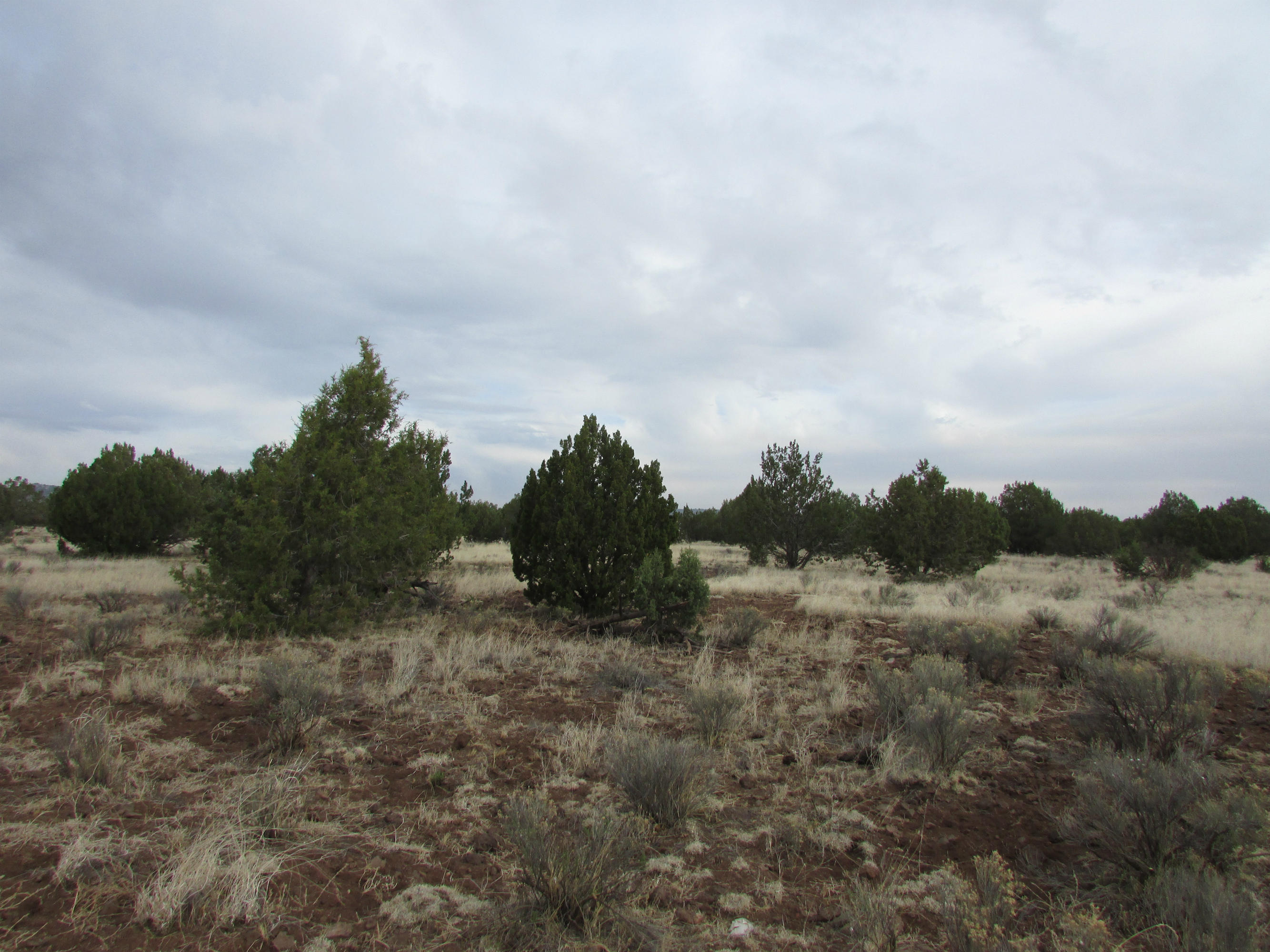 2661 Rincon Place Ash Fork, AZ 86320 - Photo 7 of 9 rea 007