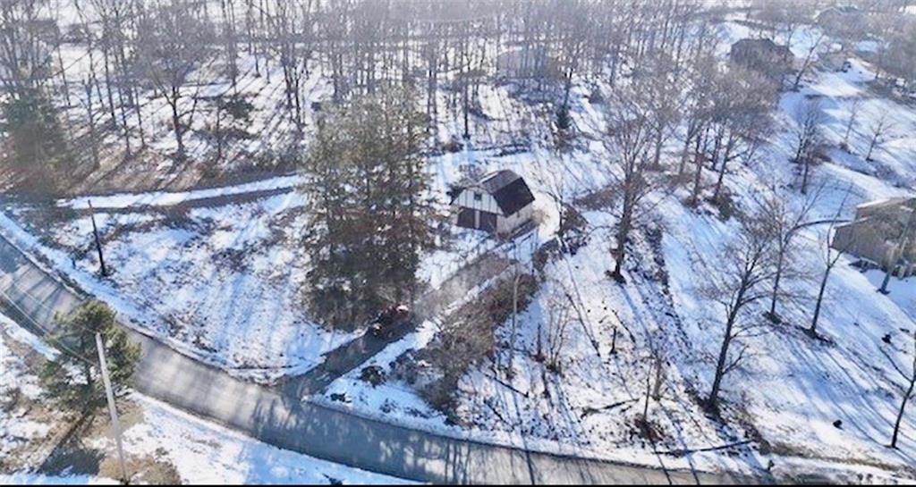 275 Old Scales Road Washington, PA 15301 - Photo 5 of 11 a picture of tree